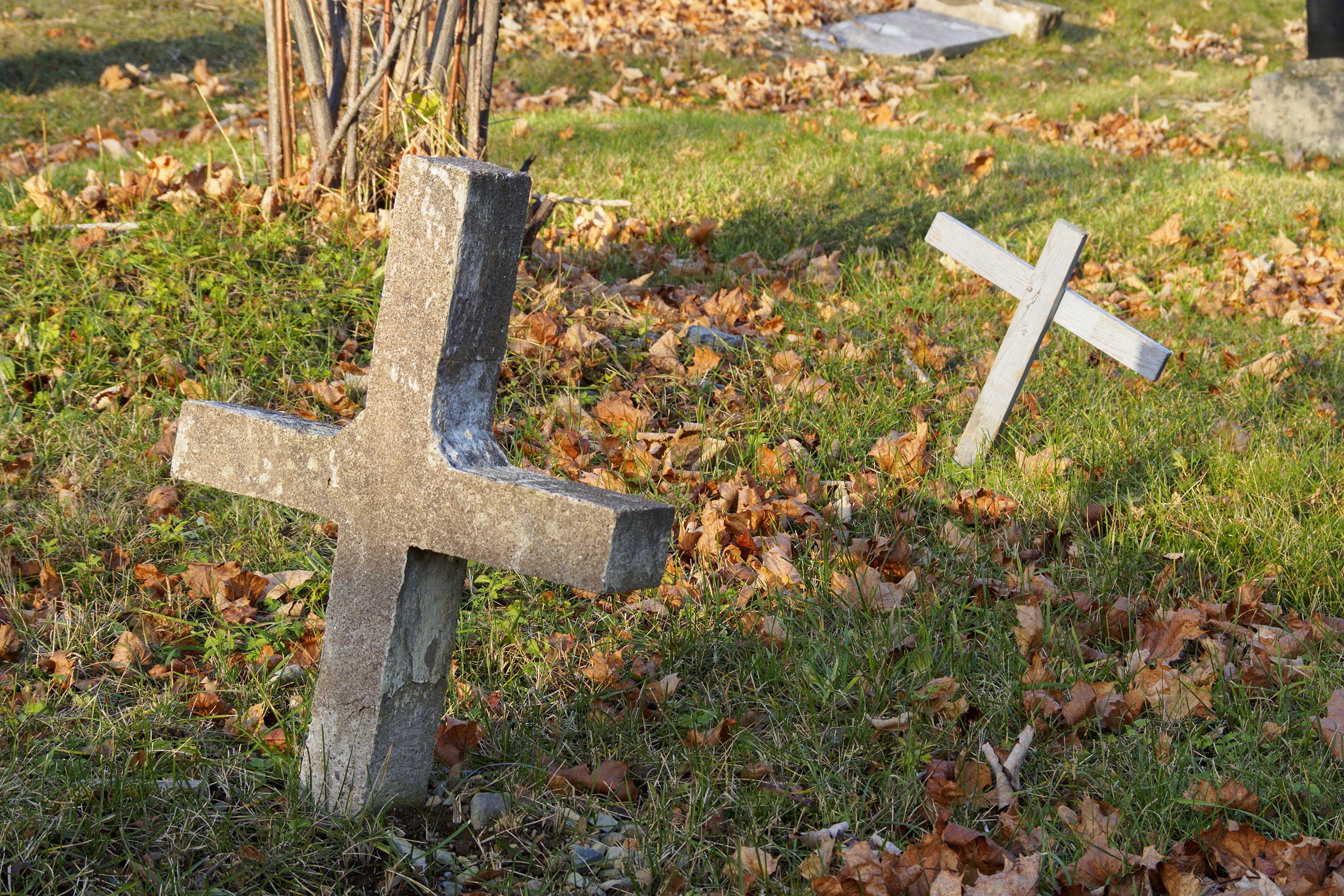 christian, cemetery, gravestone, green, tombstone, day, abandoned, buried, no people, funeral, autumn, newfoundland and labrador, canada, tranquil, spooky, HD Wallpaper