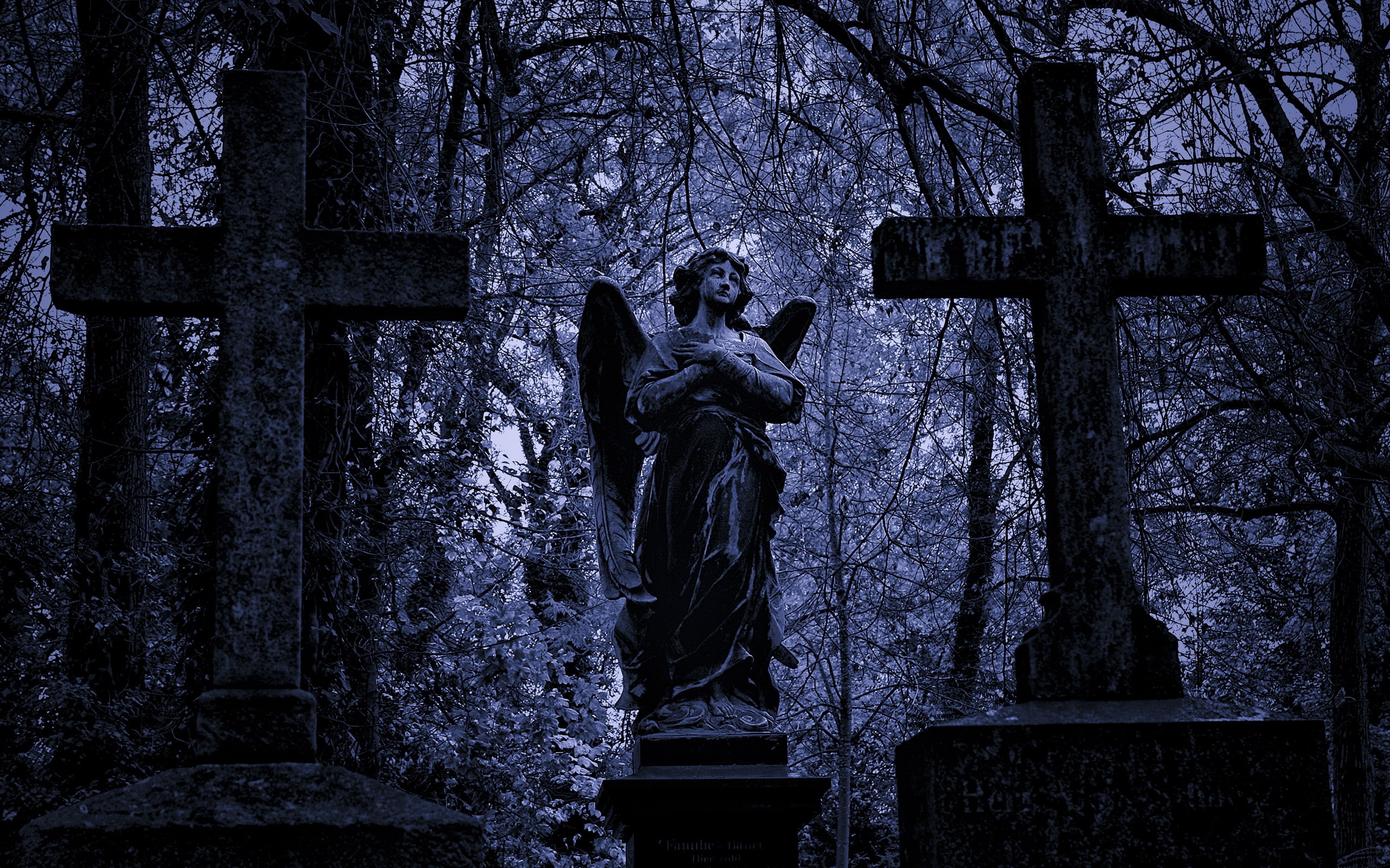 cemetery, tombstones, graves, nature, angel, 2K, trees, hd, cross, HD Wallpaper
