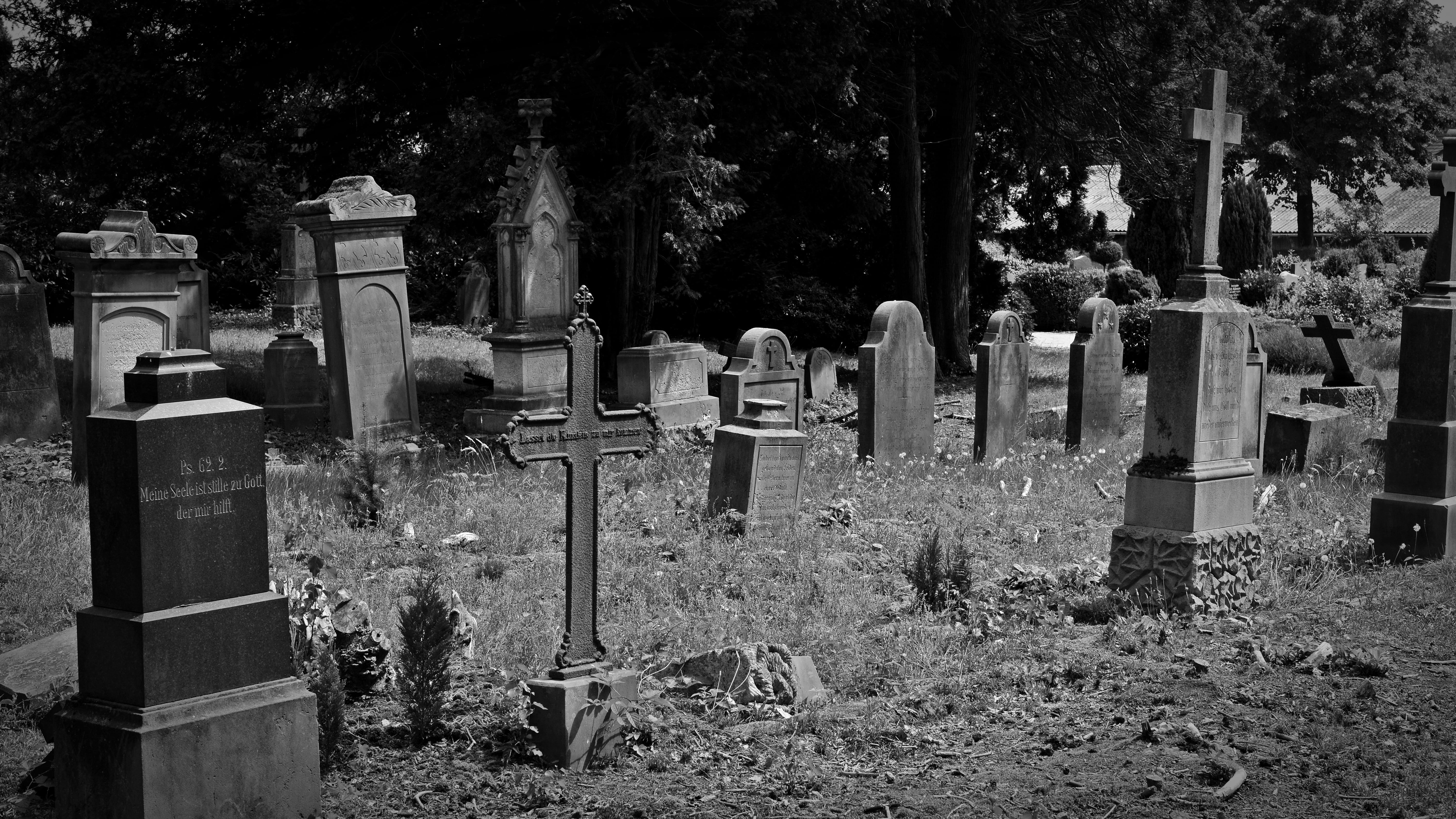 plant, gods acre, the past, religion, burial ground, grayscale, memorial, no people, funeral, 5K, stone, tree, history, photo, tomb, old grave stones, HD Wallpaper