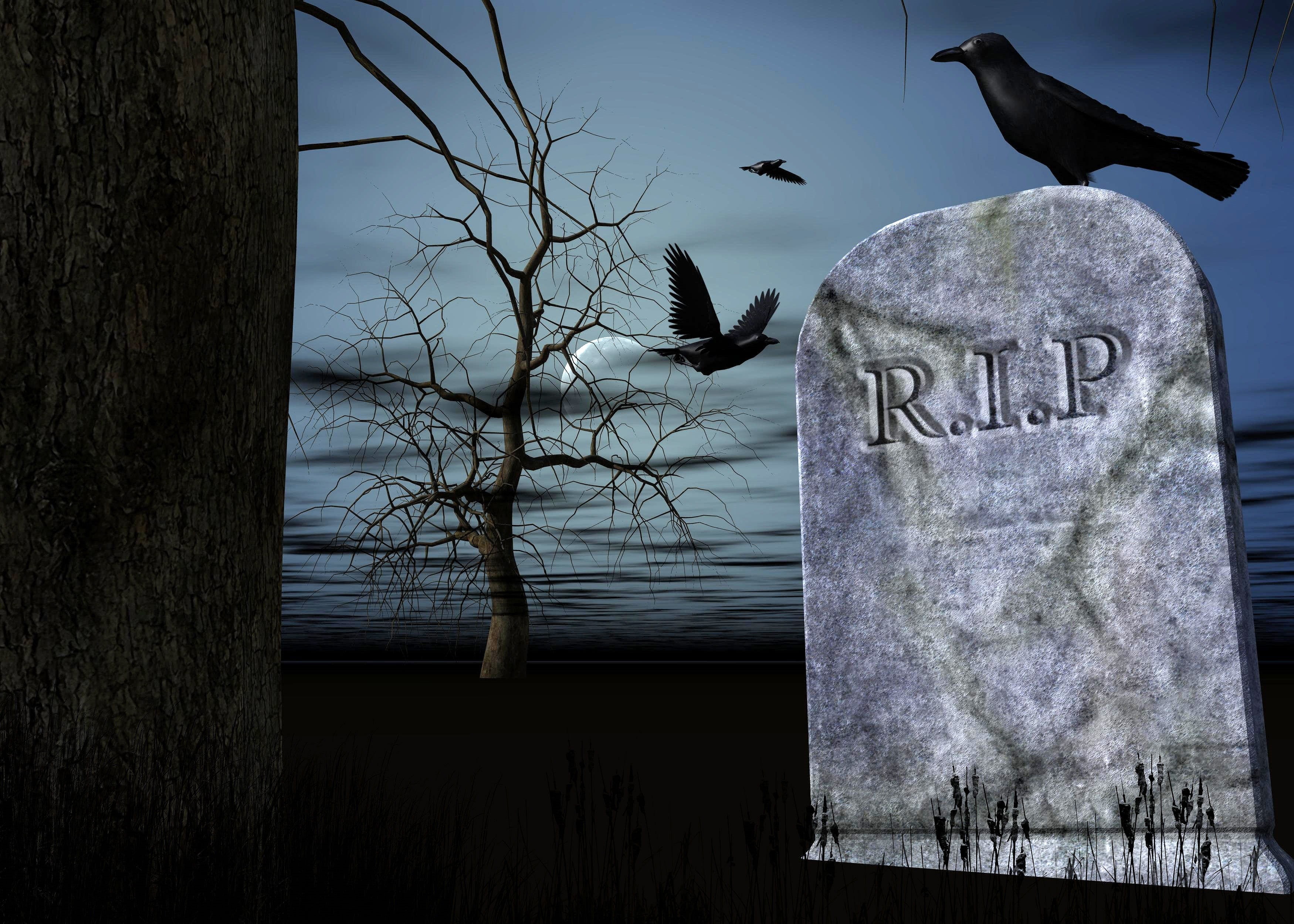 tomb, weird, black, built structure, nature, ghostly, outdoors, raven, text, 2K, plant, vertebrate, lighting, r, no people, western script, one animal, HD Wallpaper