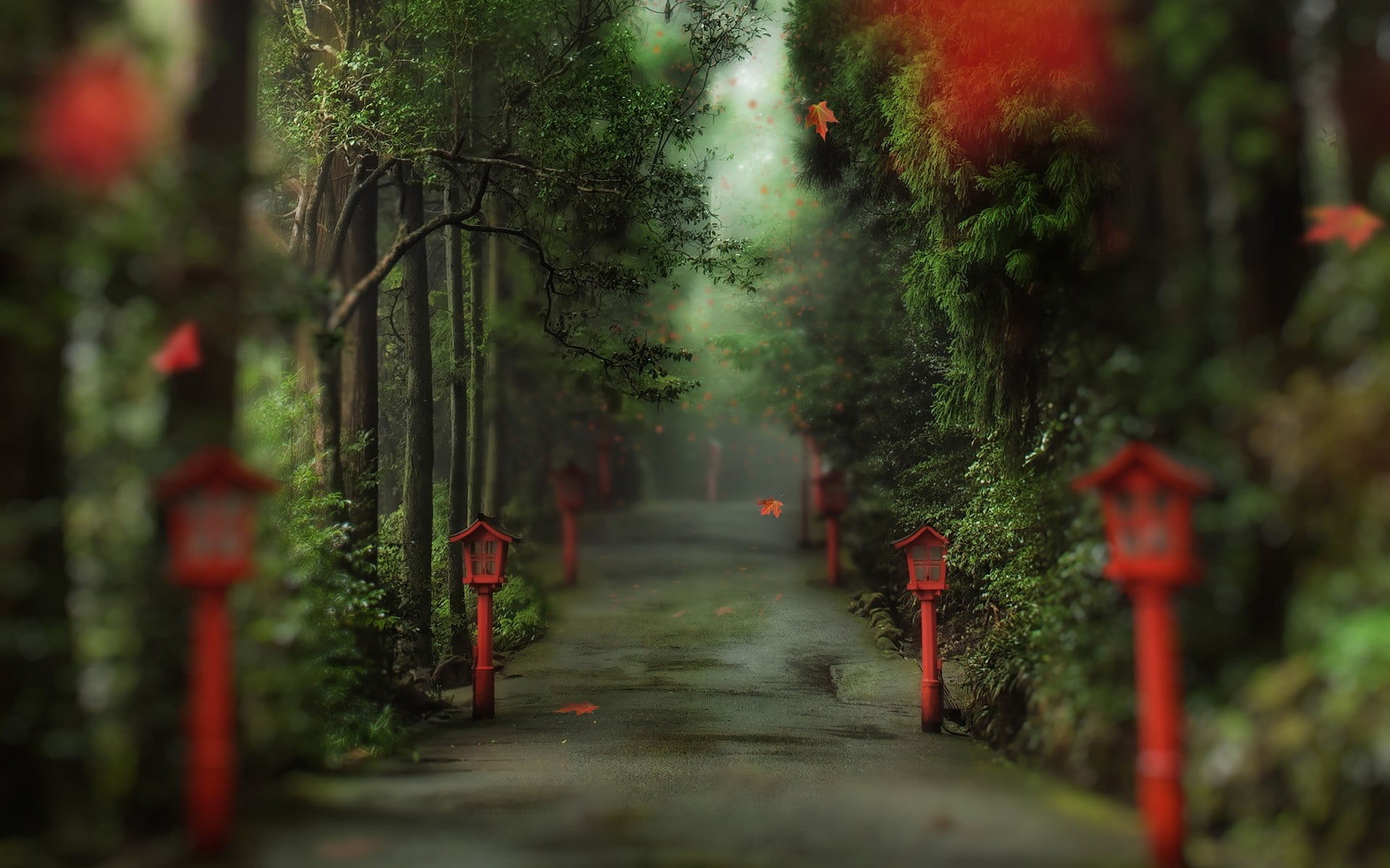 growth, path, religion, the way forward, day, tranquil scene, plant, fog, trees, tree, tombstone, forest, in a row, beauty in nature, leaves, cemetery, HD Wallpaper
