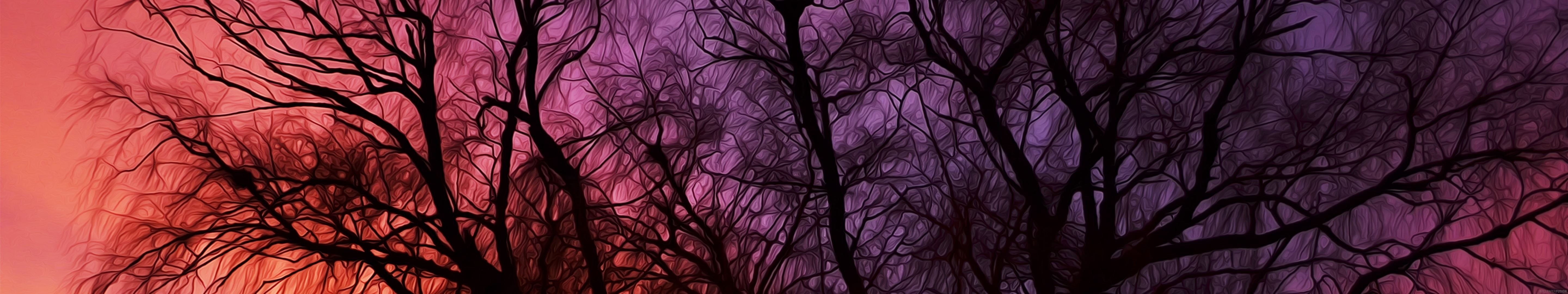 trees, 5K, multiple, multi, arbres, triple, screen, monitor, HD Wallpaper