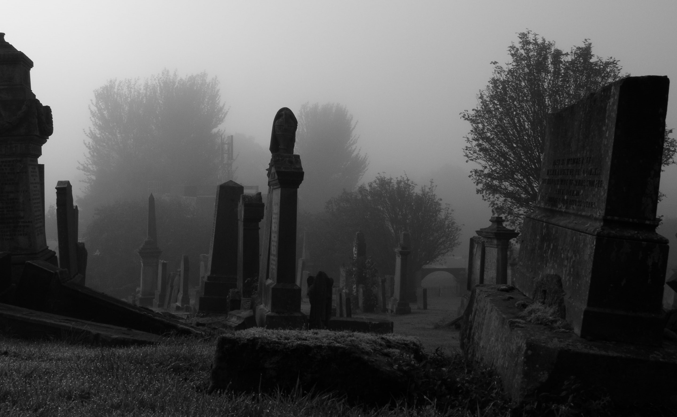 architecture, 2K, Old Cemetry, Graves, Cemetry, the past, united kingdom, built structure, no people, gray, tombstone, south lanarkshire, plant, Halloween, HD Wallpaper