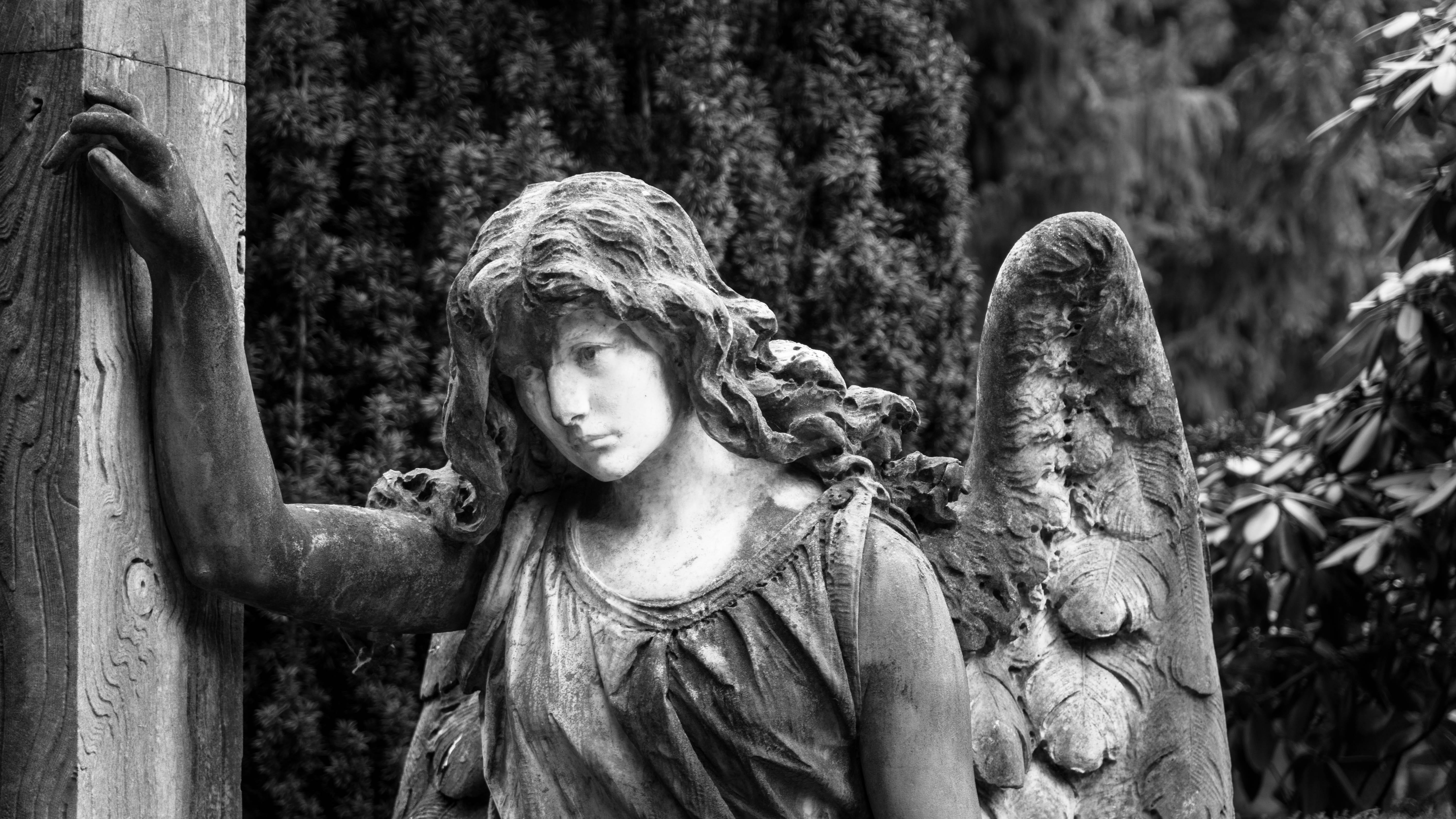 art, concrete, plant, figure, outdoors, resurrection, day, christianity, representation, christian, face, tree, sculpture, nature, one person, transience, HD Wallpaper