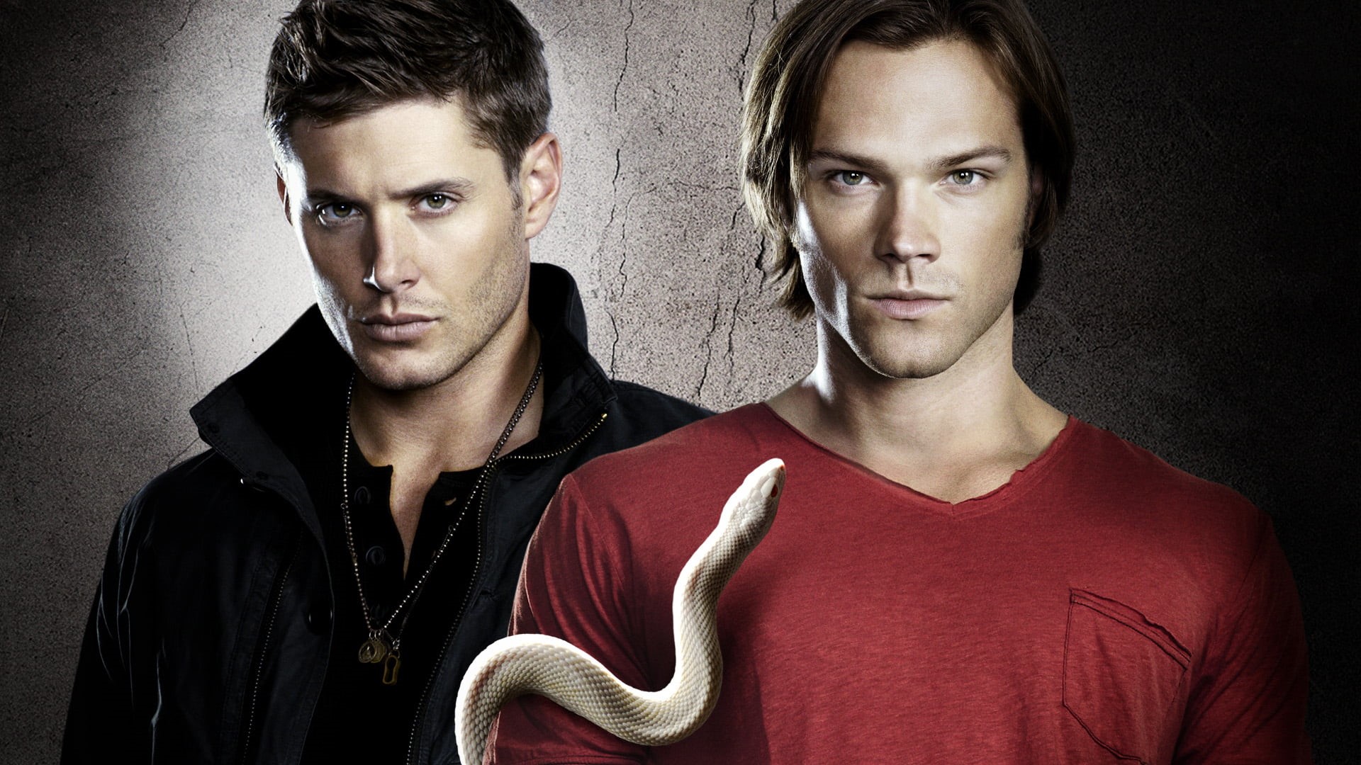 togetherness, young Men, confidence, aggression, brothers, only Men, looking At Camera, irritation, jared, studio Shot, indoors, muscular Build, winchester, HD Wallpaper