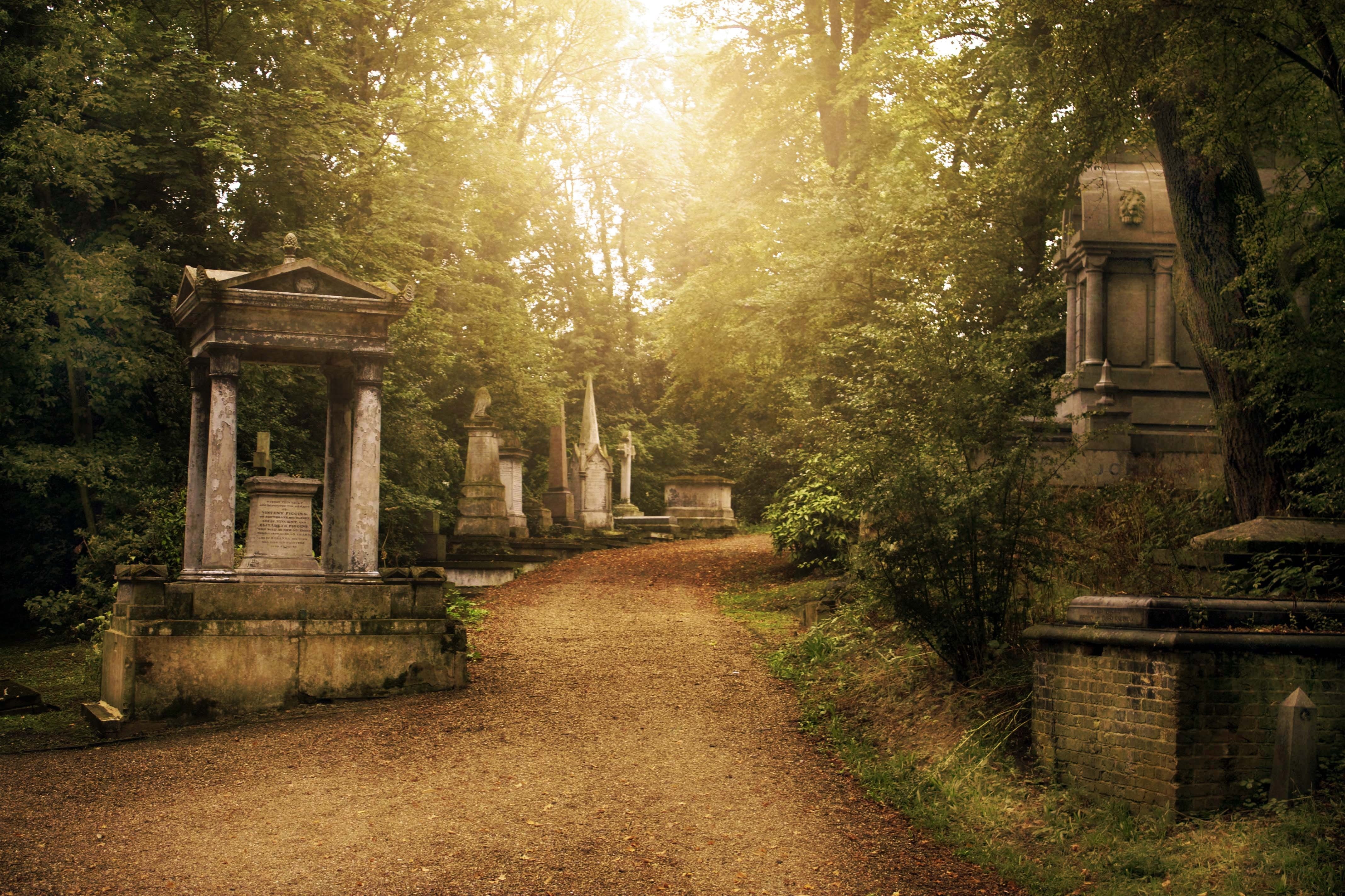 fear, tombstone, plant, religion, the past, building exterior, dead, footpath, the way forward, tree, haunted, direction, sunlight, growth, horror, gravestone, HD Wallpaper