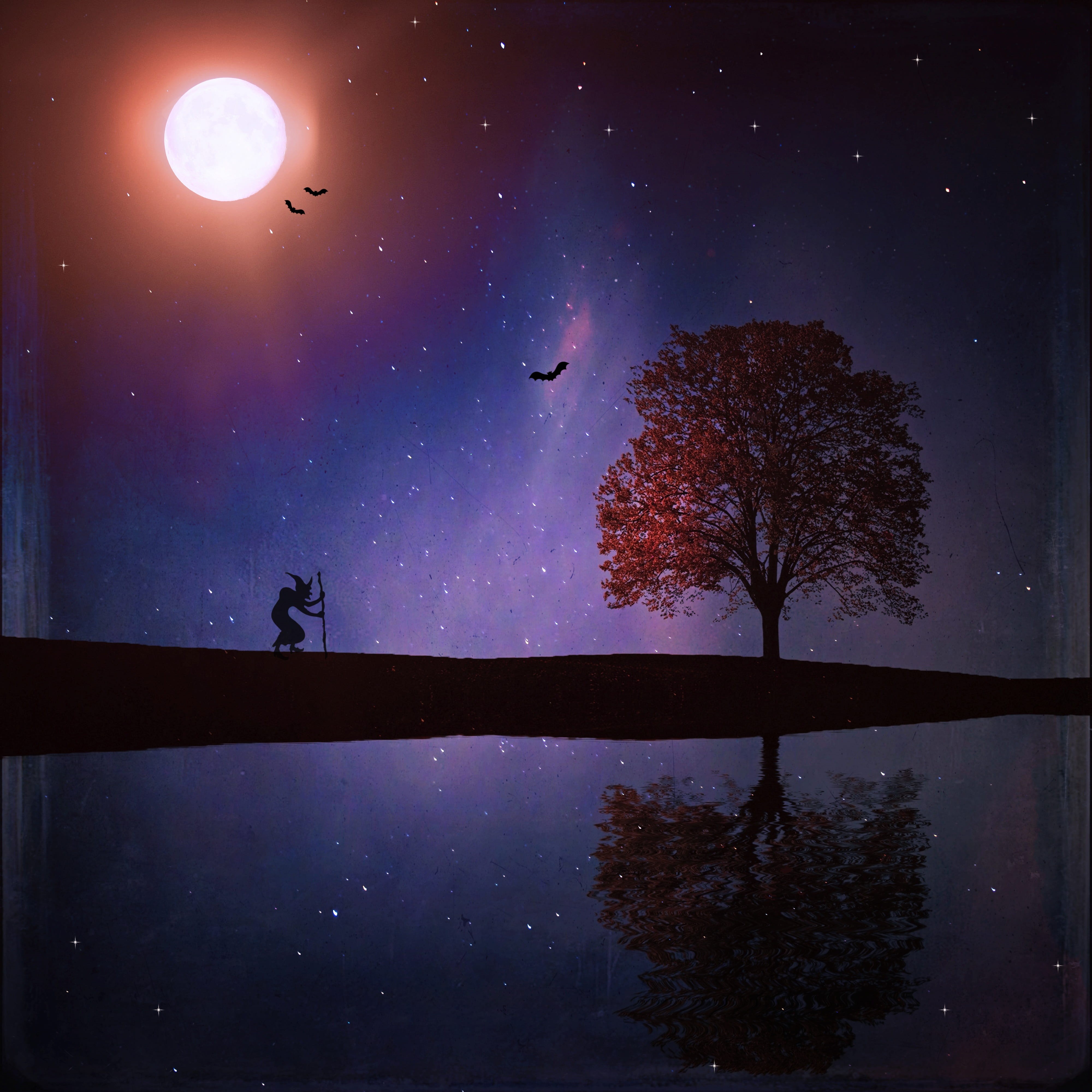 tranquil scene, digital art, sky, the witch, mystical, galaxy, reflection, bat, water, purple, 4K, beauty in nature, plant, full moon, moonlight, nature, Phone HD Wallpaper