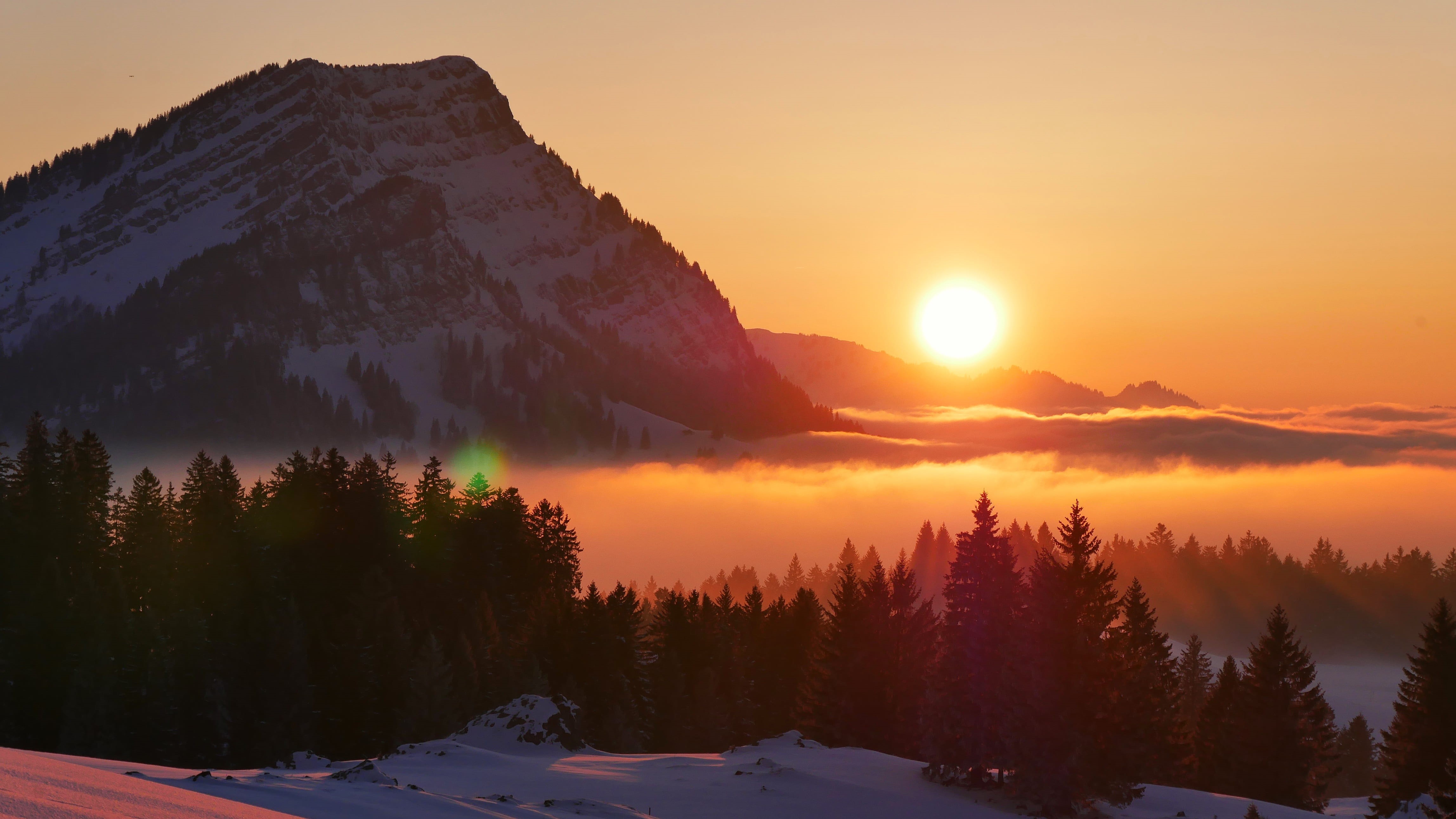 beauty in nature, alpine, sunset, pastel, red, orange, tranquil scene, pine woodland, schwägalp, mountain range, mountain peak, tranquility, switzerland, HD Wallpaper