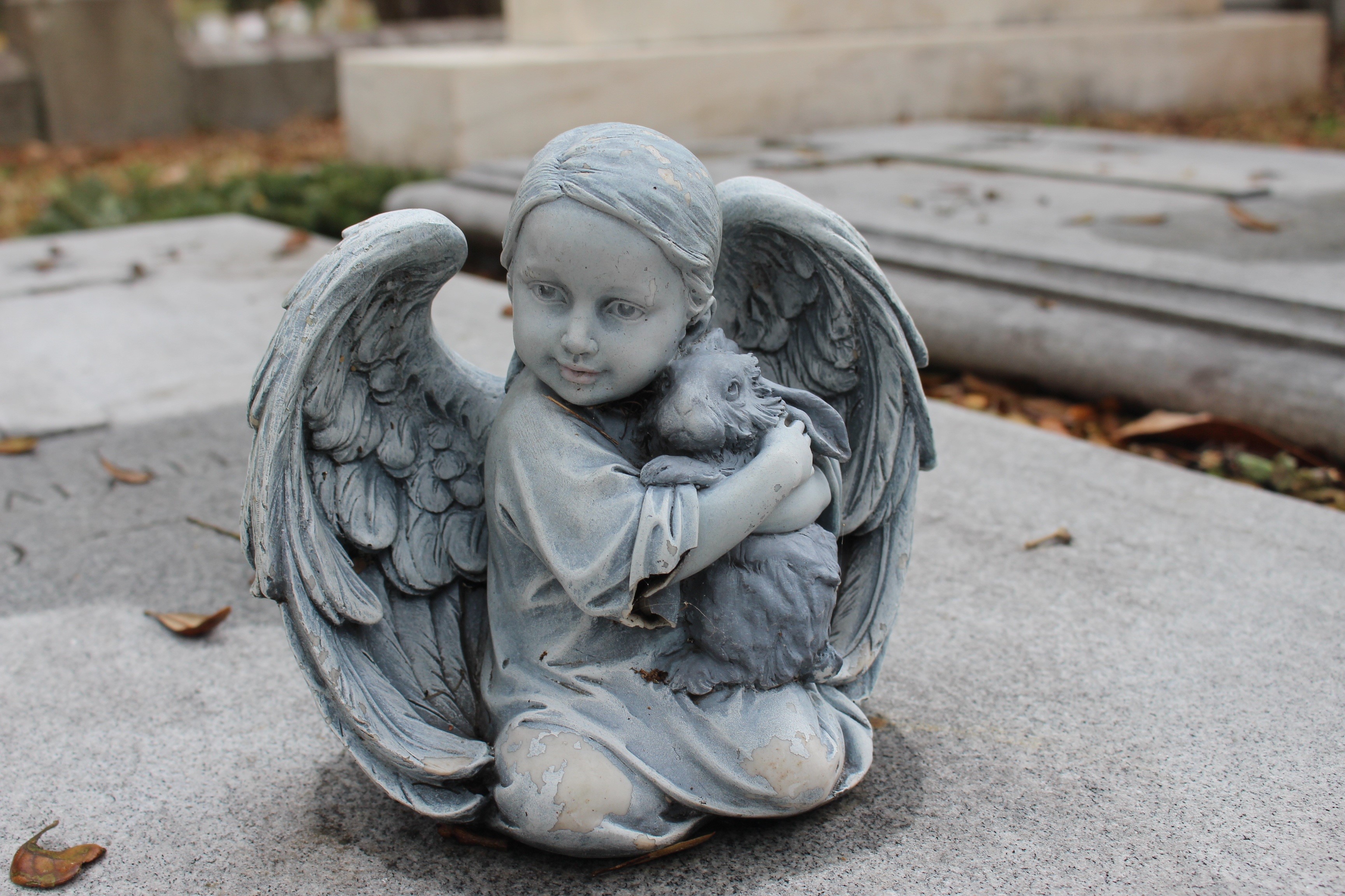 focus on foreground, burial, religious, dead, creativity, sad, tomb, gravestone, headstone, marble, angel, doll, holy, catholic, funeral, surface, sculpture, HD Wallpaper