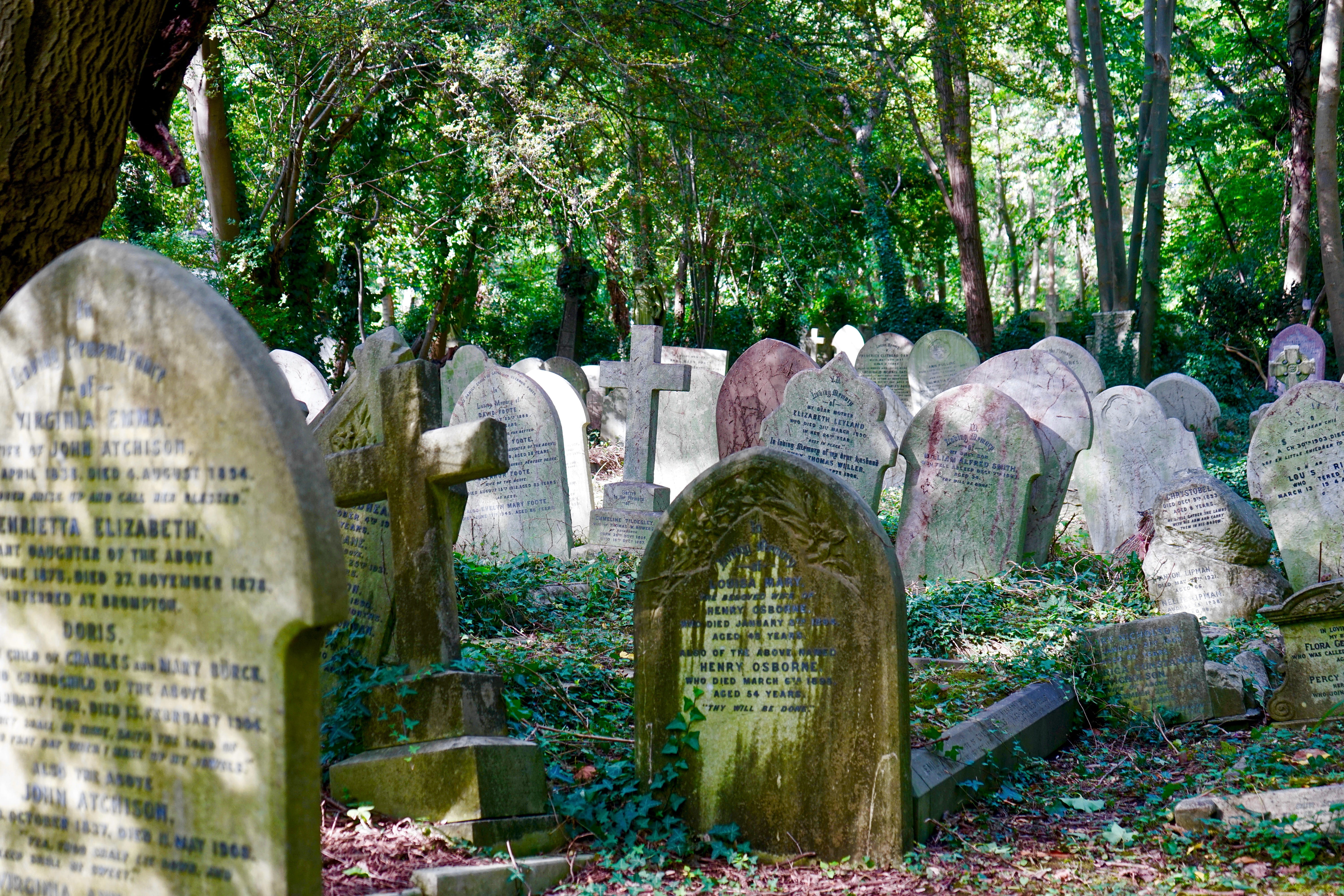 day, headstone, grave, history, remains, human, death, nature, religious, cemetery, monument, stone, plant, outdoor, funeral, no people, peace, tombstone, HD Wallpaper