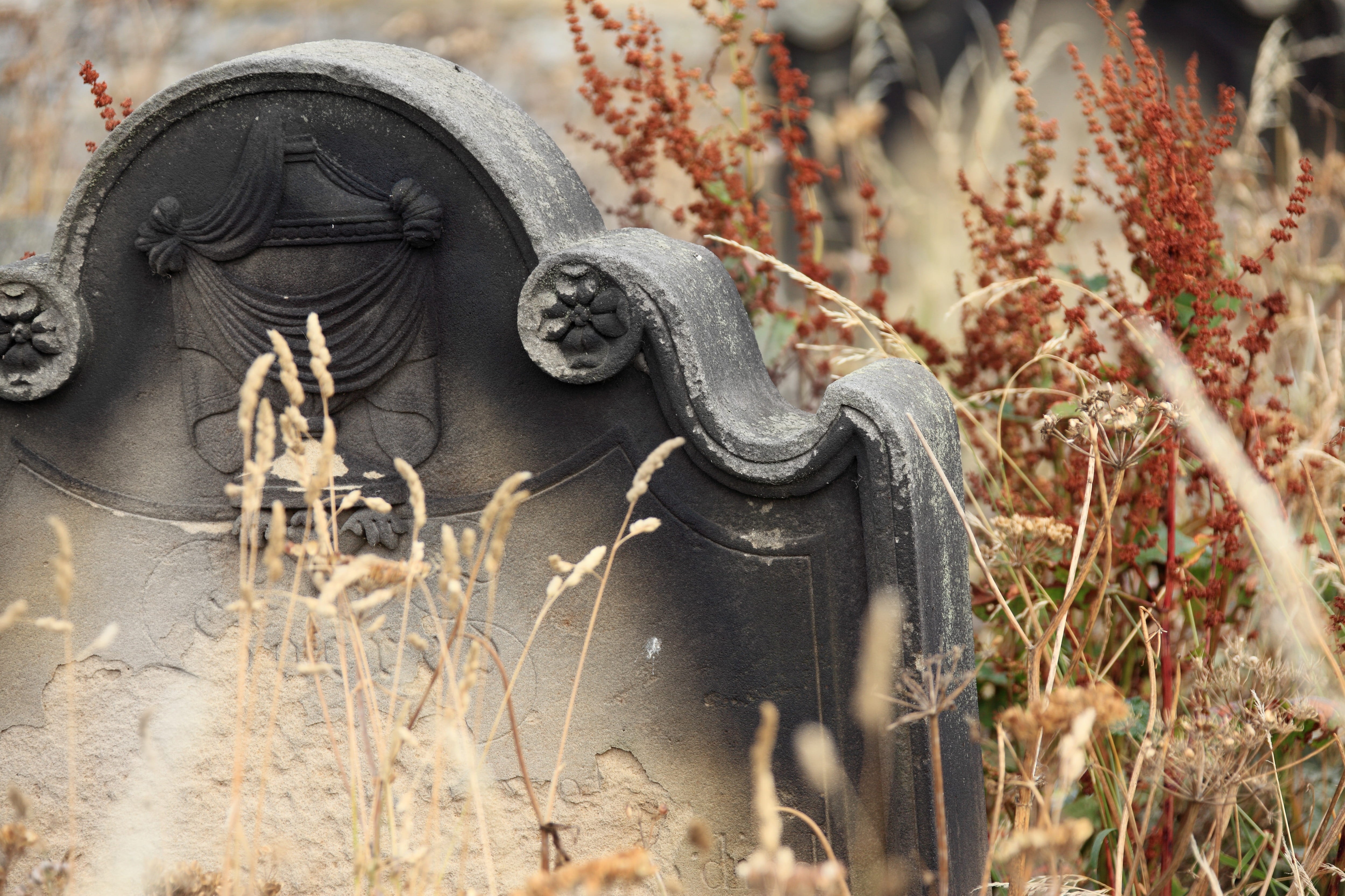 4K, halloween, creativity, plant, tomb, close-up, statue, burial, sculpture, peace, death, ancient, no people, headstone, outdoors, art and craft, old, HD Wallpaper