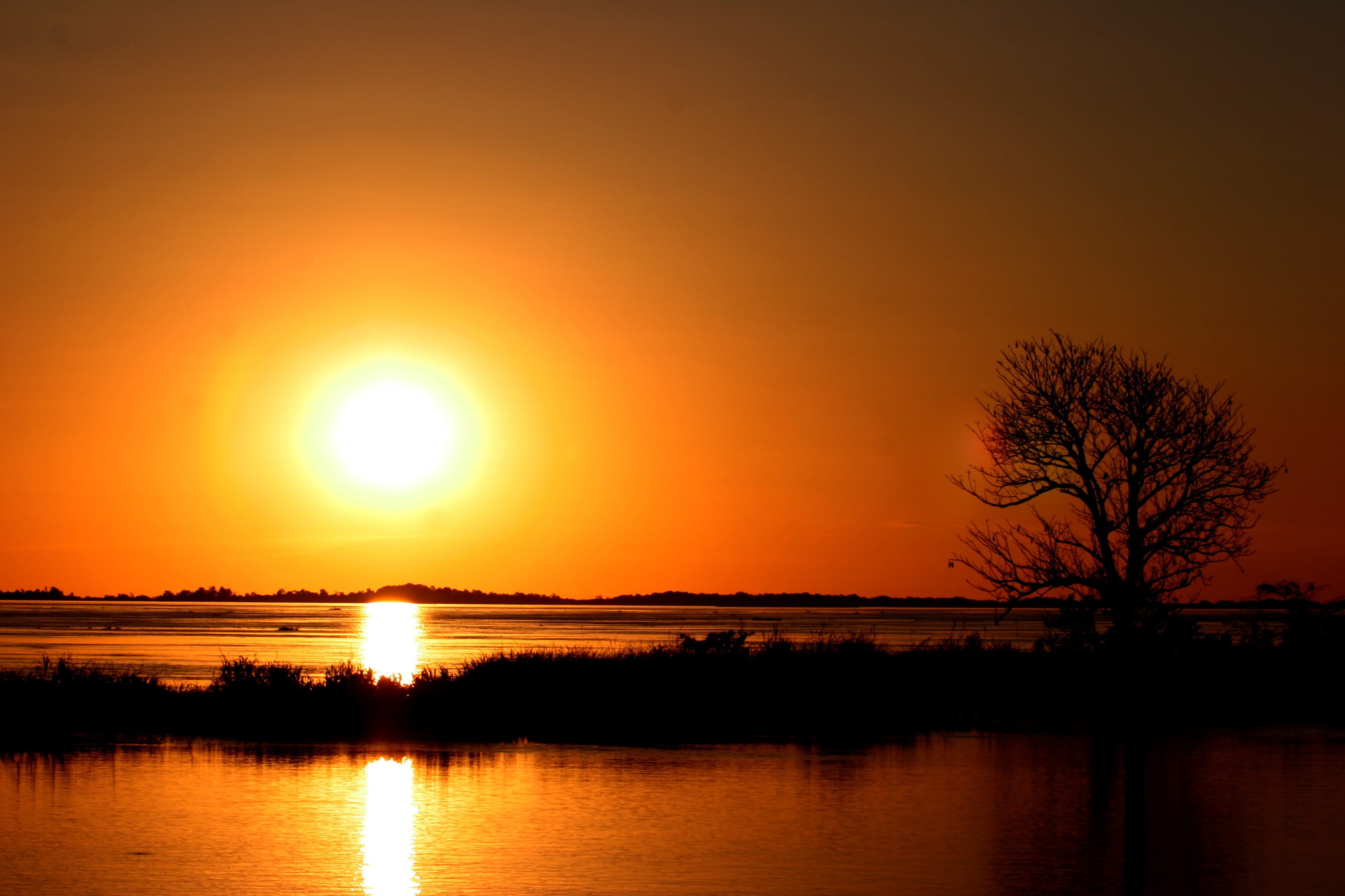 photography, outdoors, lake, sky, plant, tree, tranquility, Silhouette, beauty in nature, scenics - nature, nature, non-urban scene, scenics, orange color, HD Wallpaper