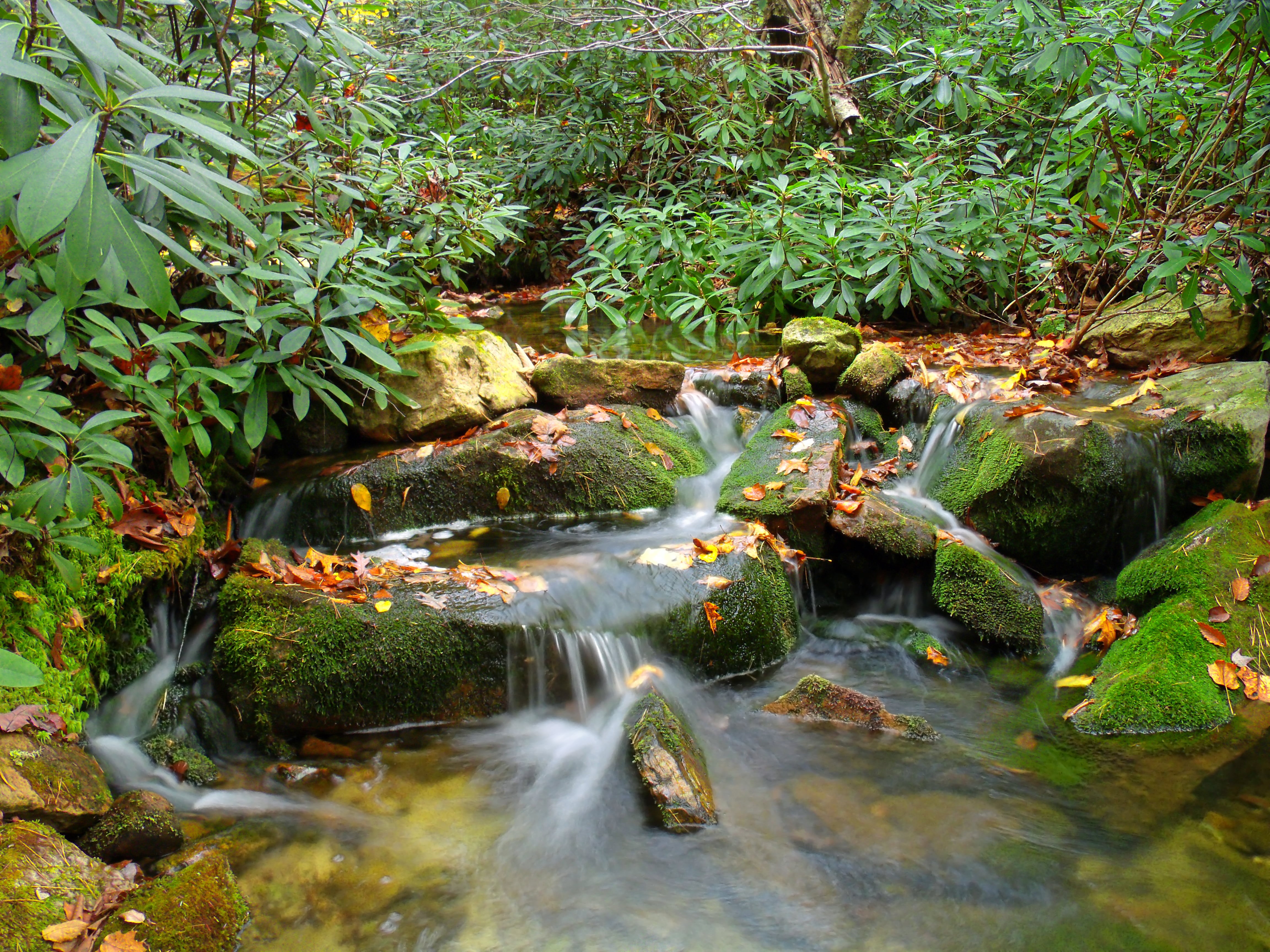 outdoors, waterfall, rock - Object, hiking, creative commons, timelapse, Mid State Trail, 4K, moss, water, Wild, Pennsylvania, timelapse photography, tropical Rainforest, HD Wallpaper