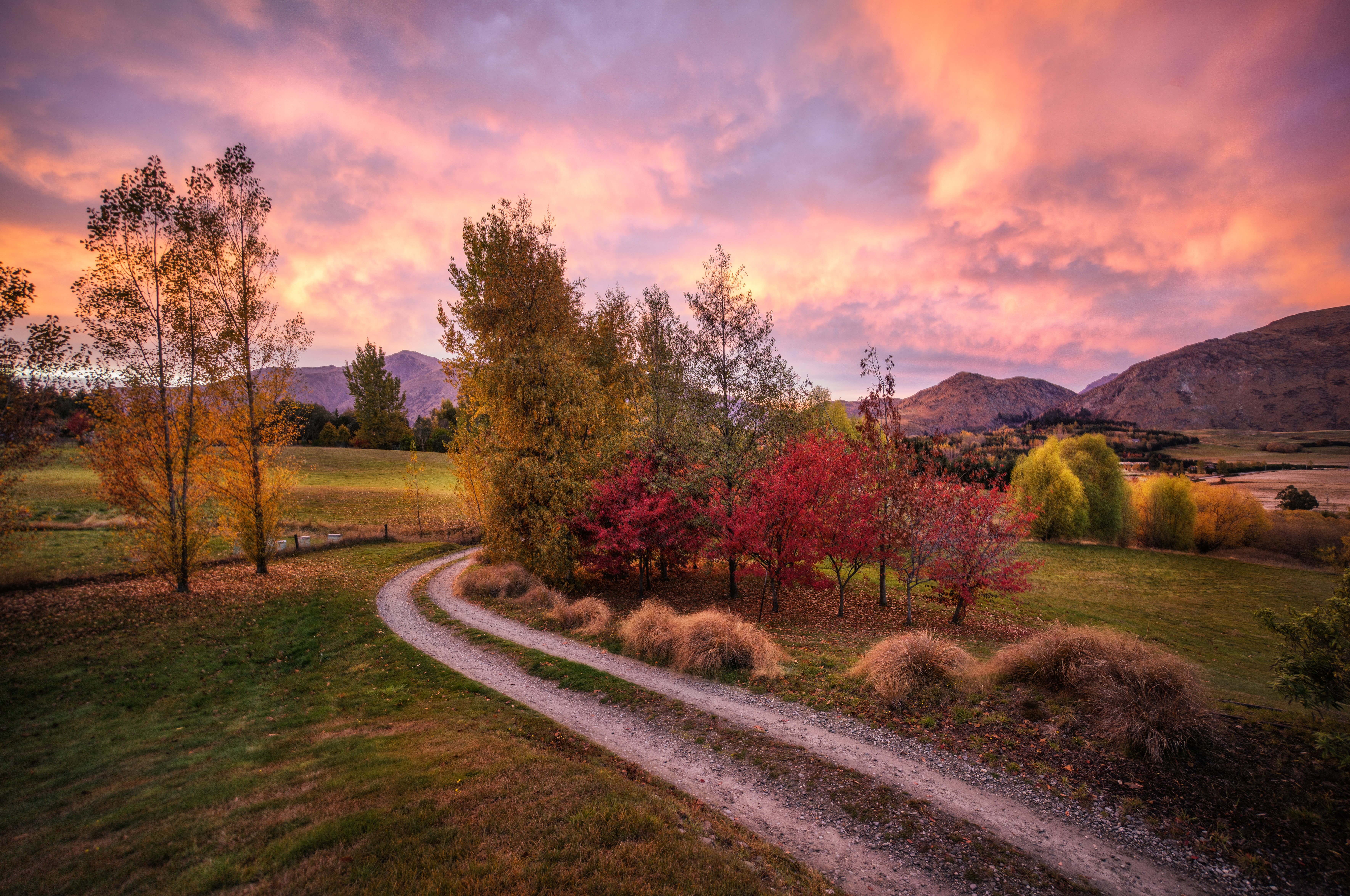 pacific, resort  town, sunset, Scramble, bay, south island, tree, nature, mountain, wakatipu, rural Scene, sunrise, valley, city, scenics, trees, sky, may  2014, HD Wallpaper