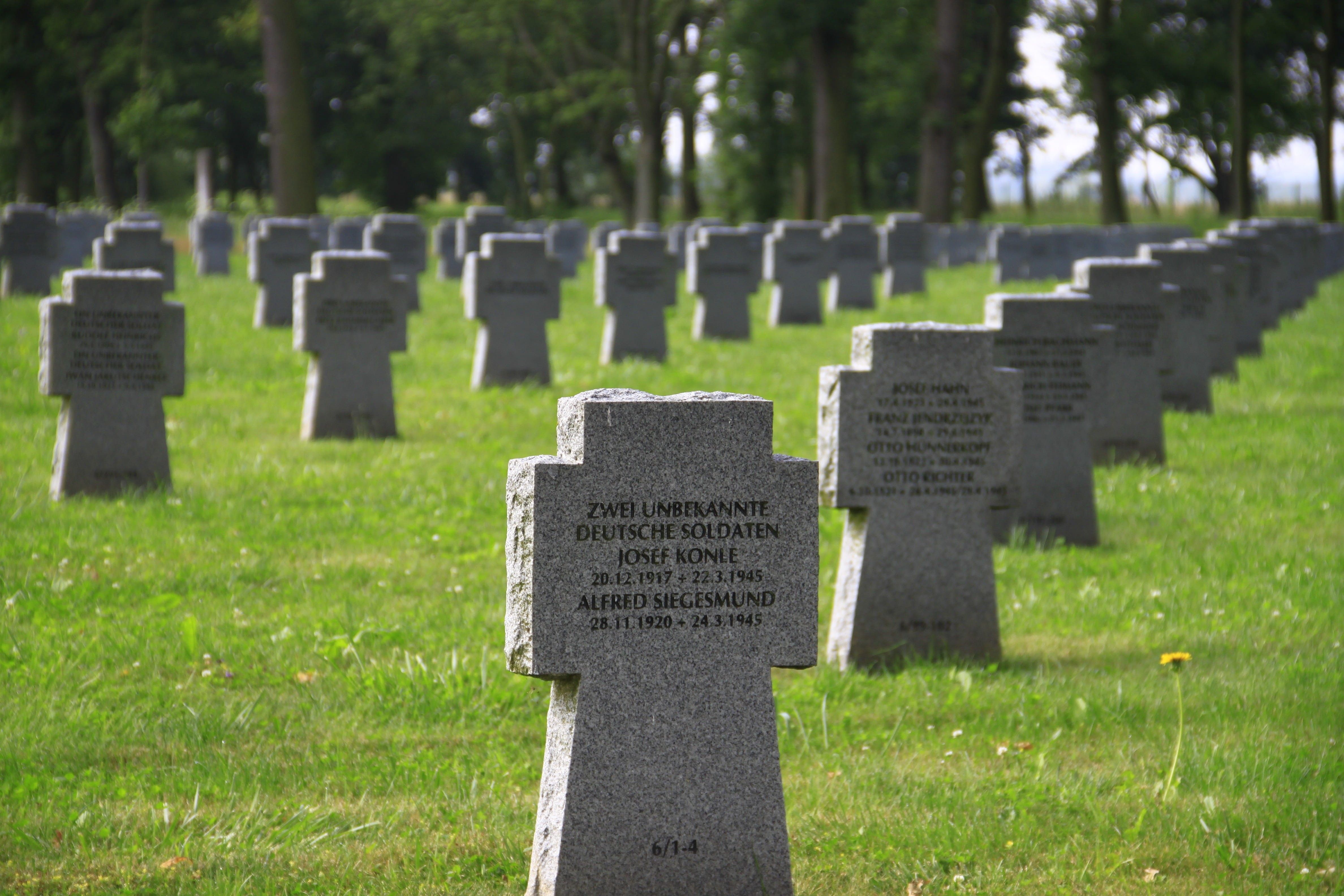 day, resting place, graveyard, cemetery, military, the past, military cemetery, past, soldiers grave, wars, armed Forces, stone, tombstone, memory, cenotaph, HD Wallpaper