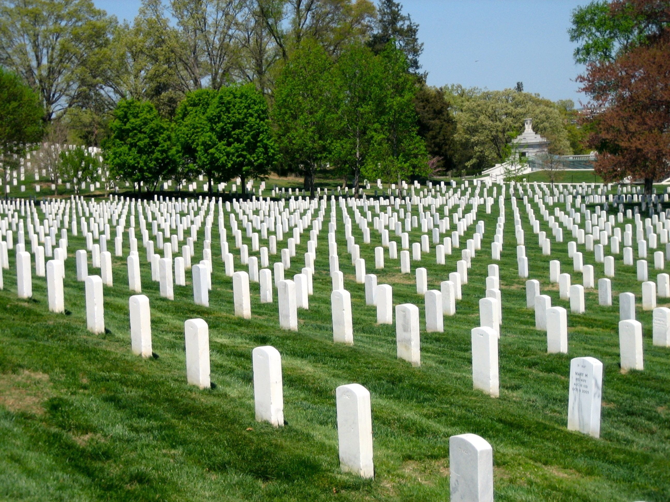 nature, patriotism, large group of objects, sacrifice, uS Military, tombstone, military, war, day, uSA, world War II, the past, armed Forces, 2K, tree, HD Wallpaper
