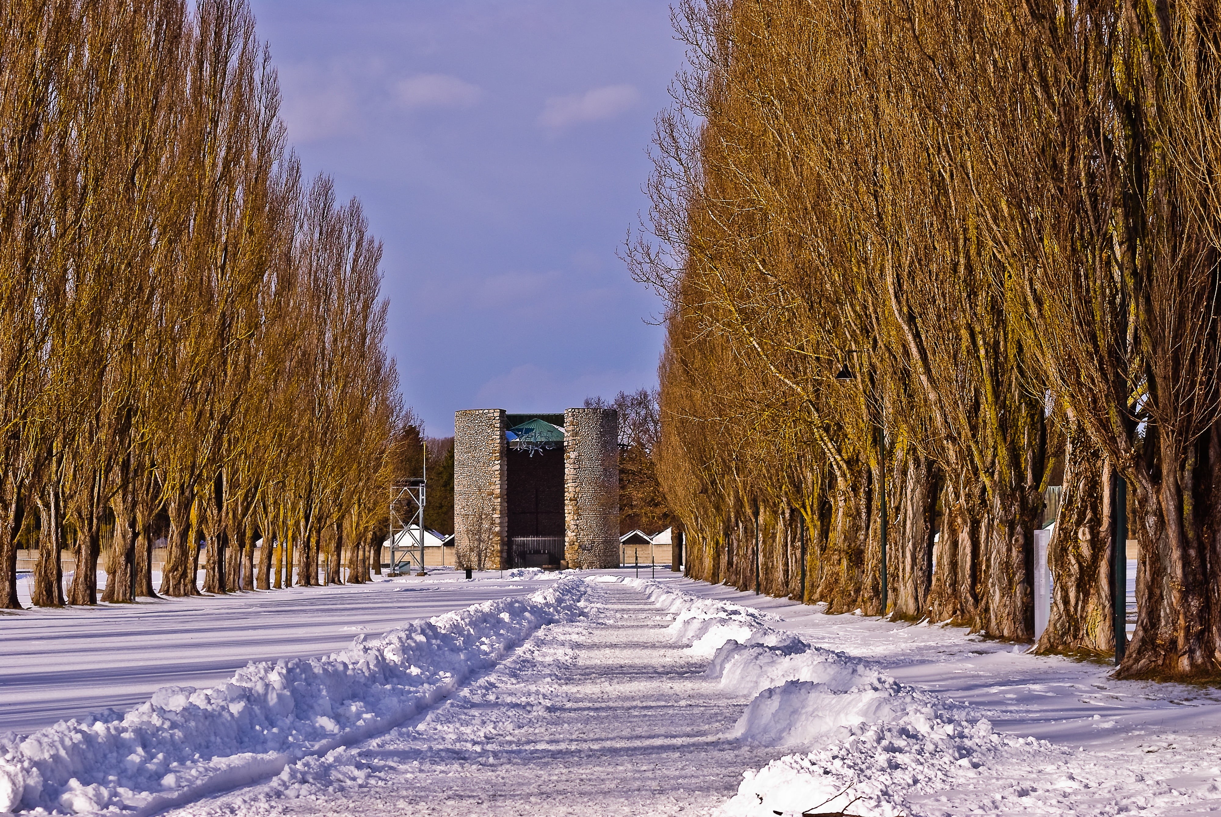 the way forward, terrible, wall, plant, field, pathway, symbol, direction, land, history, concrete, dachau, statue, bad, winter, mass murders, forget, germany, HD Wallpaper