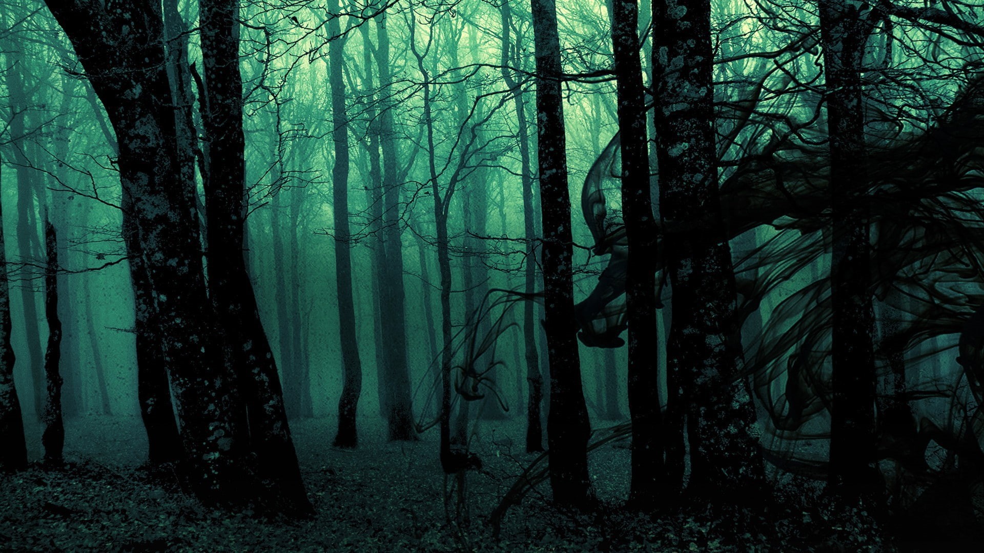 1080P, horror, evil, dark, ghost, wood, gothic, trees, fantasy, HD Wallpaper