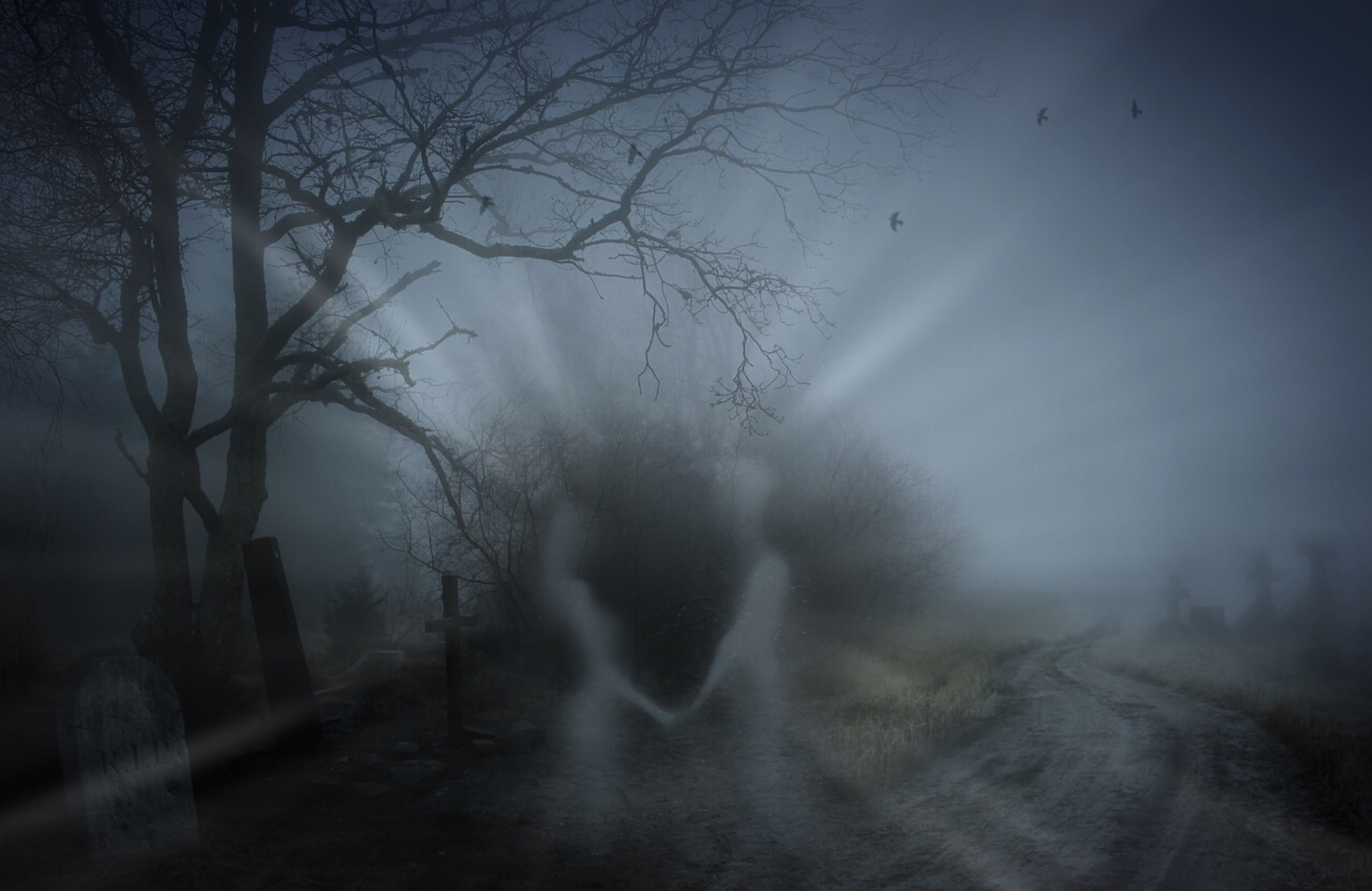 light, bare tree, woman, fantastic, spooky, outdoors, graves, nightmare, cemetery, crosses, rest, tenderness, scenics - nature, transience, romantic, mystical, HD Wallpaper