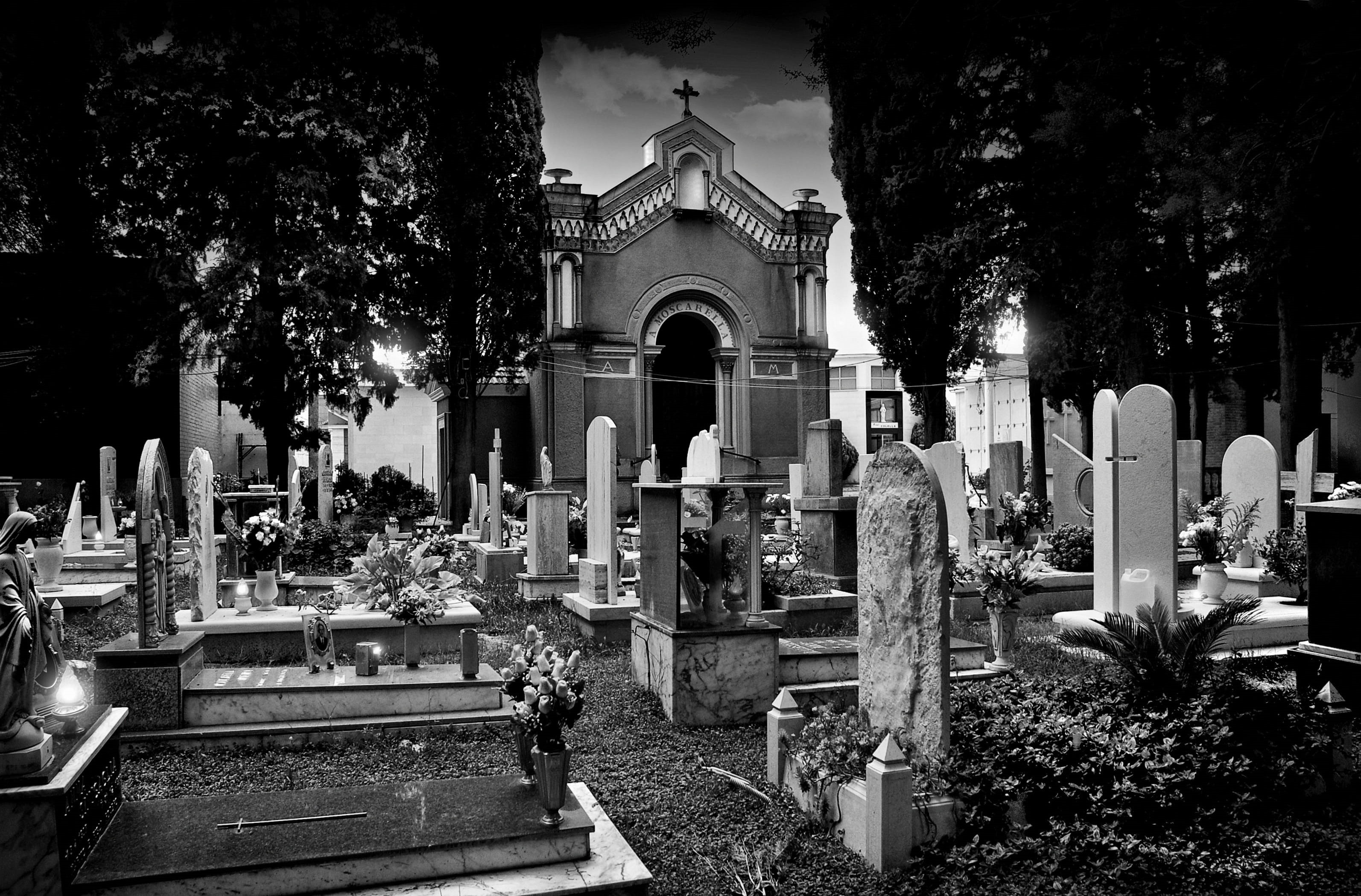 cypress, monumental cemetery, nature, tomb, cemetery, spirituality, fear, field, architecture, outdoors, bones, funerary art, tombstone, religion, belief, HD Wallpaper