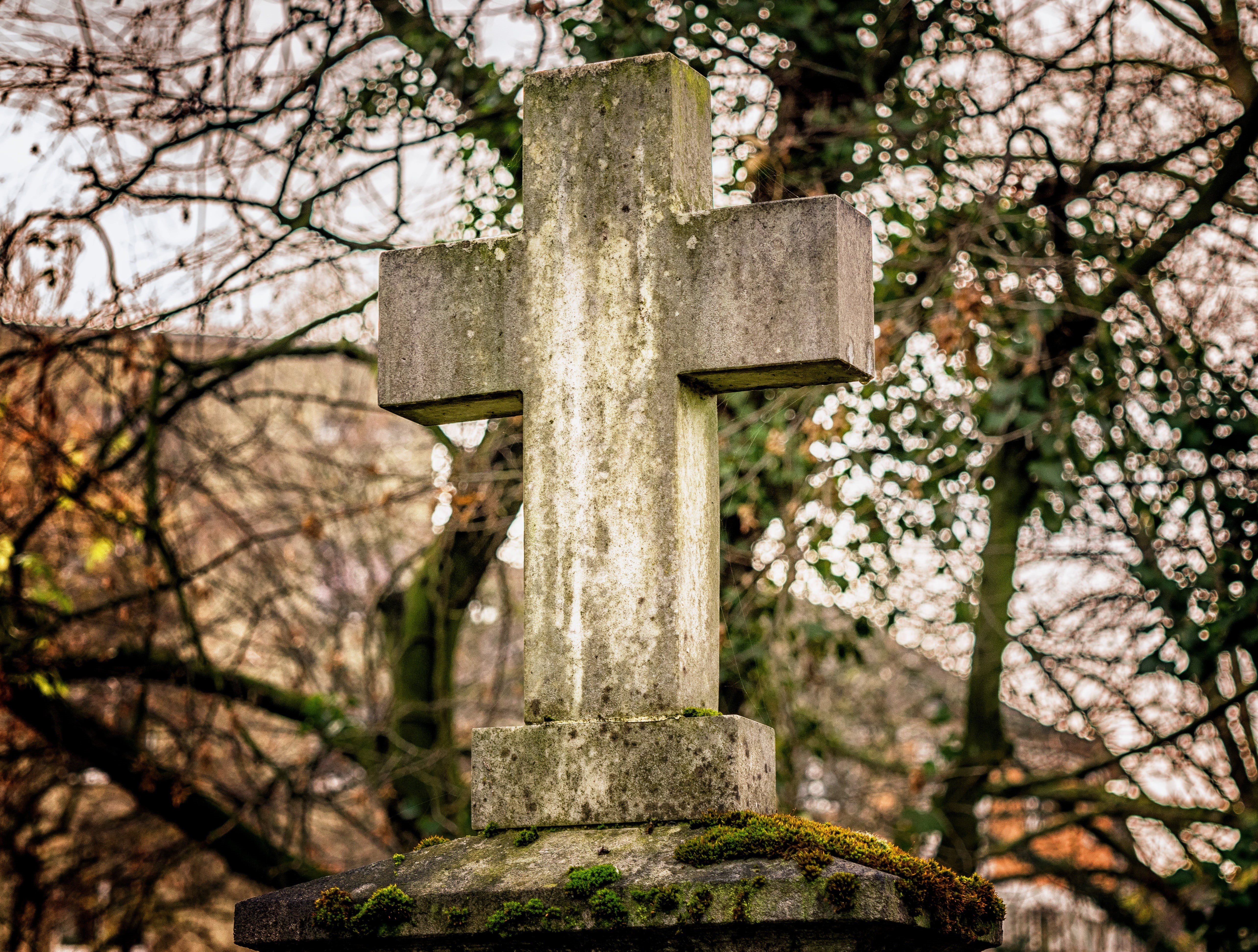 commemorate, gloomy, day, religious equipment, resting place, rest, tombstone, sadness, gray, belief, spirituality, 5K, tree, solid, grave, plant, sad, HD Wallpaper