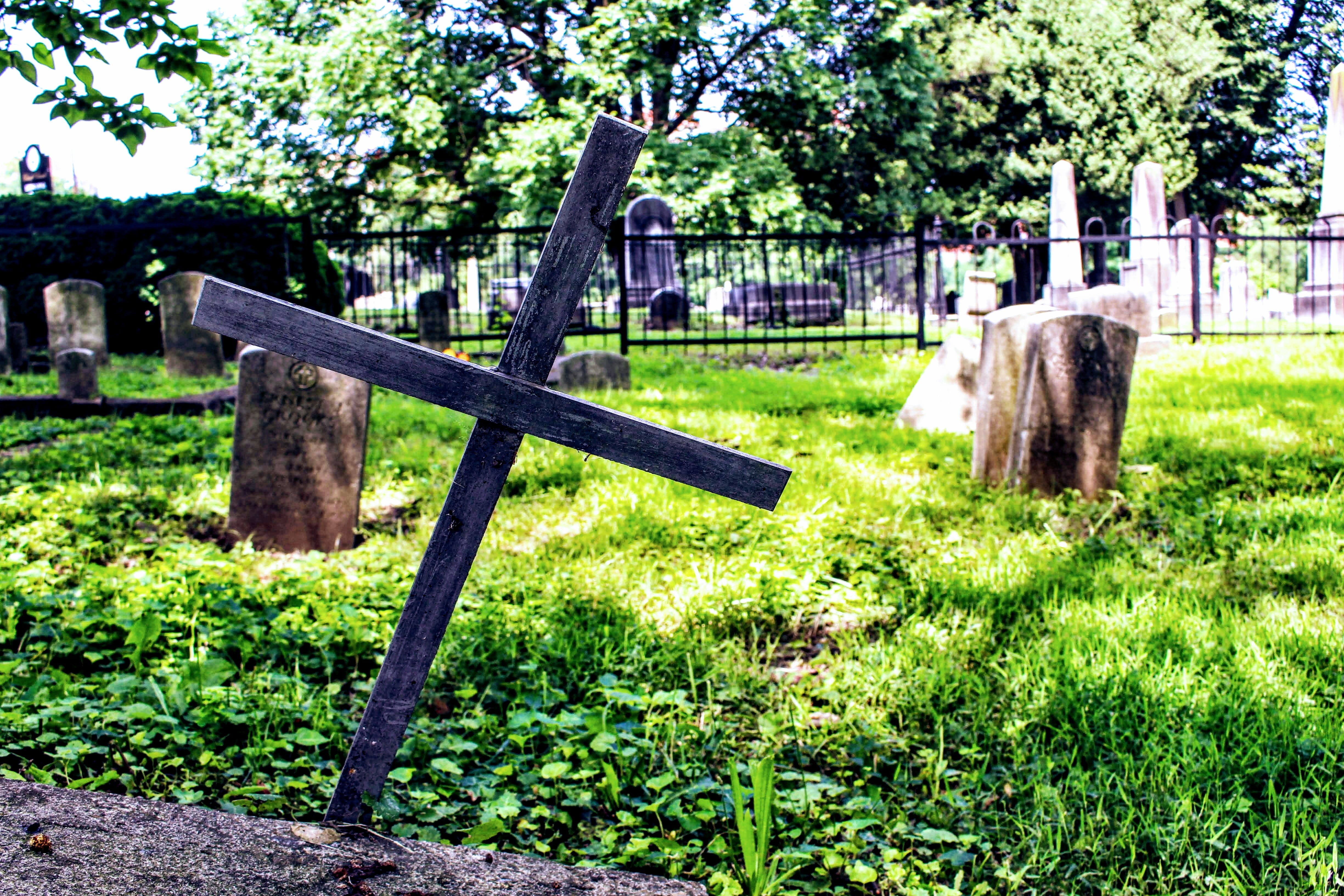 religion, cemetery, stones, land, growth, garden, graveyard, daylight, cross, outdoors, graves, tranquility, field, tree, peaceful, park, 4K, tombstone, HD Wallpaper