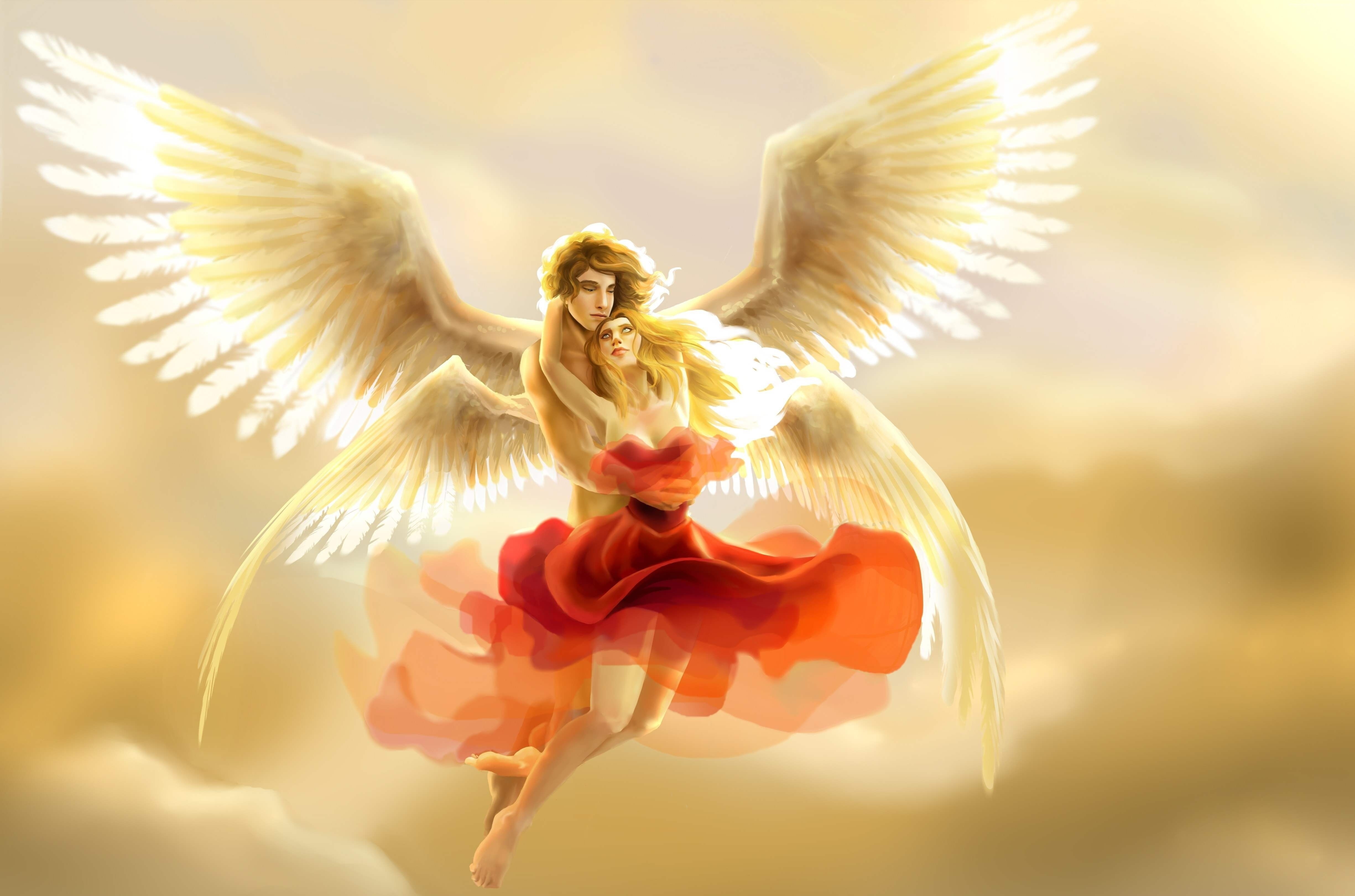 heart, 5k, love image, 4K, angel, HD Wallpaper
