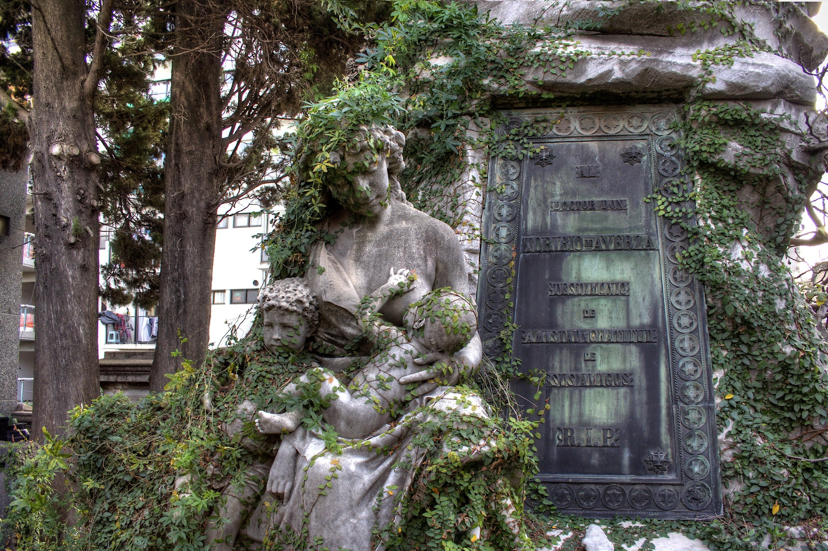 architecture, buenos aires, recoleta cemetery, old, building exterior, representation, nature, tree, growth, park, tree trunk, house, ivy, argentina, plant, HD Wallpaper