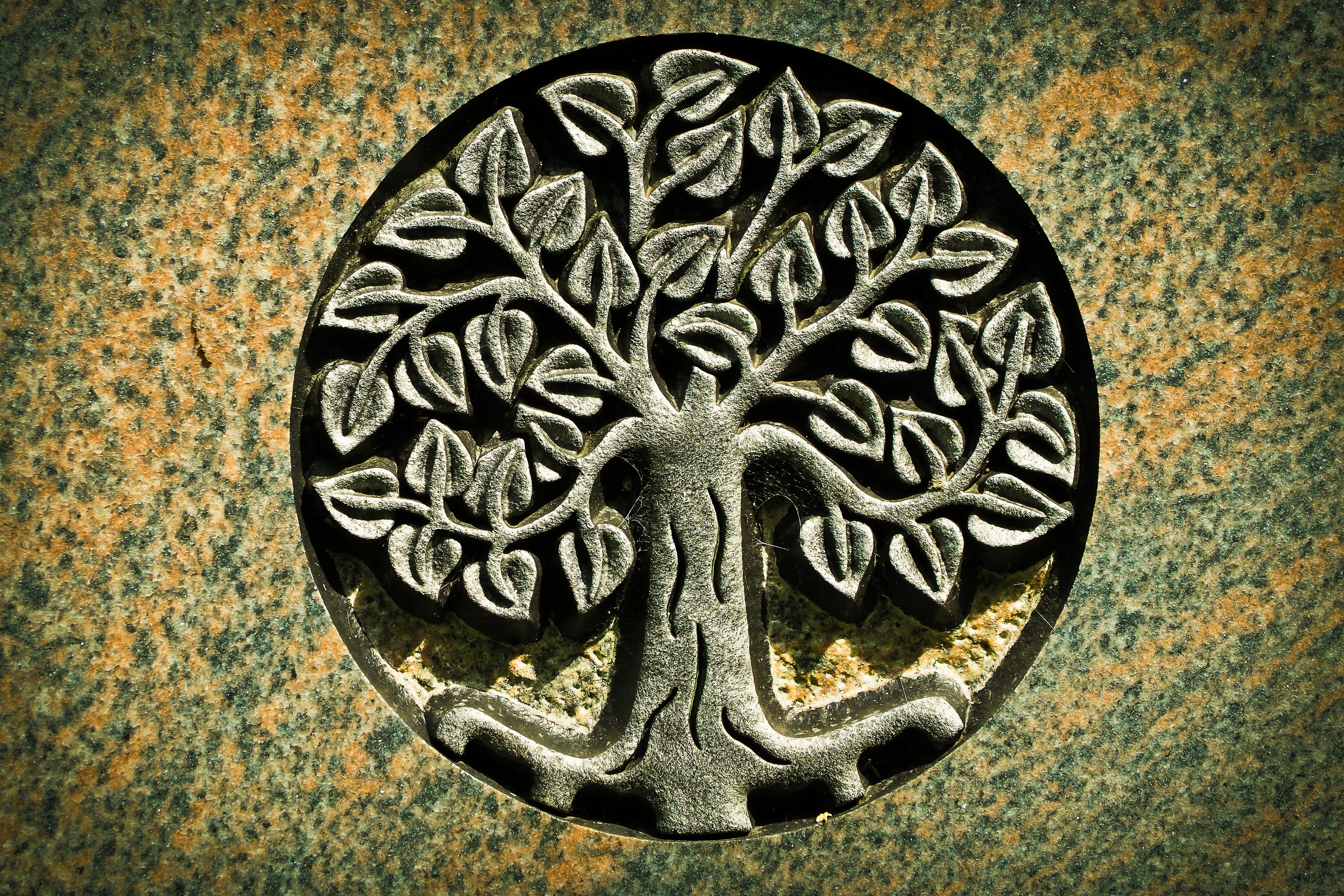 animal representation, grabschmuck, art, tree, carving - craft product, silent, carving, floral pattern, shape, architecture, no people, architecture and art, HD Wallpaper