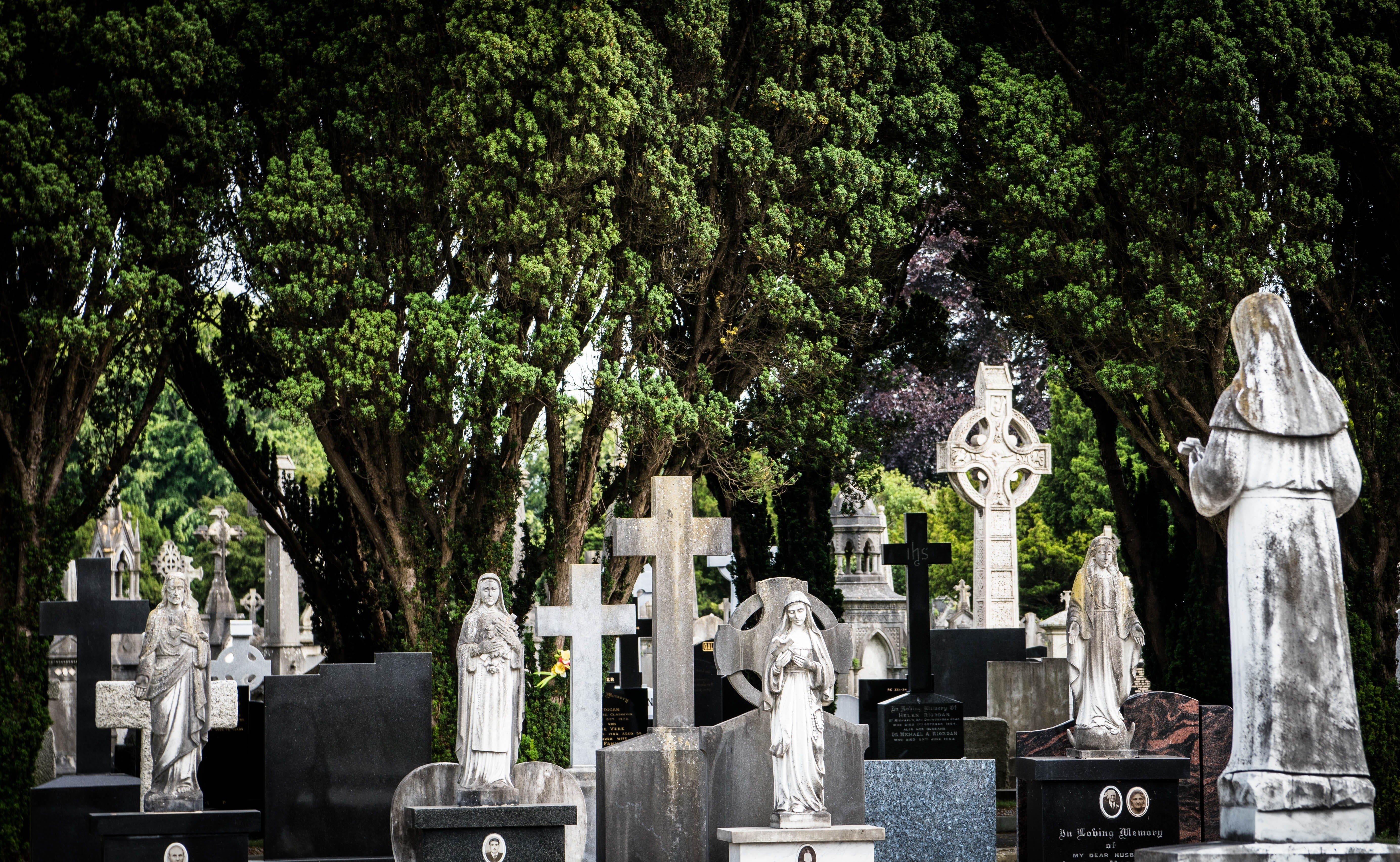 cemetery, stone material, last calm, nature, memorial, tomb, 5K, plant, cross, dublin, tree, creativity, religion, spirituality, art and craft, no people, HD Wallpaper