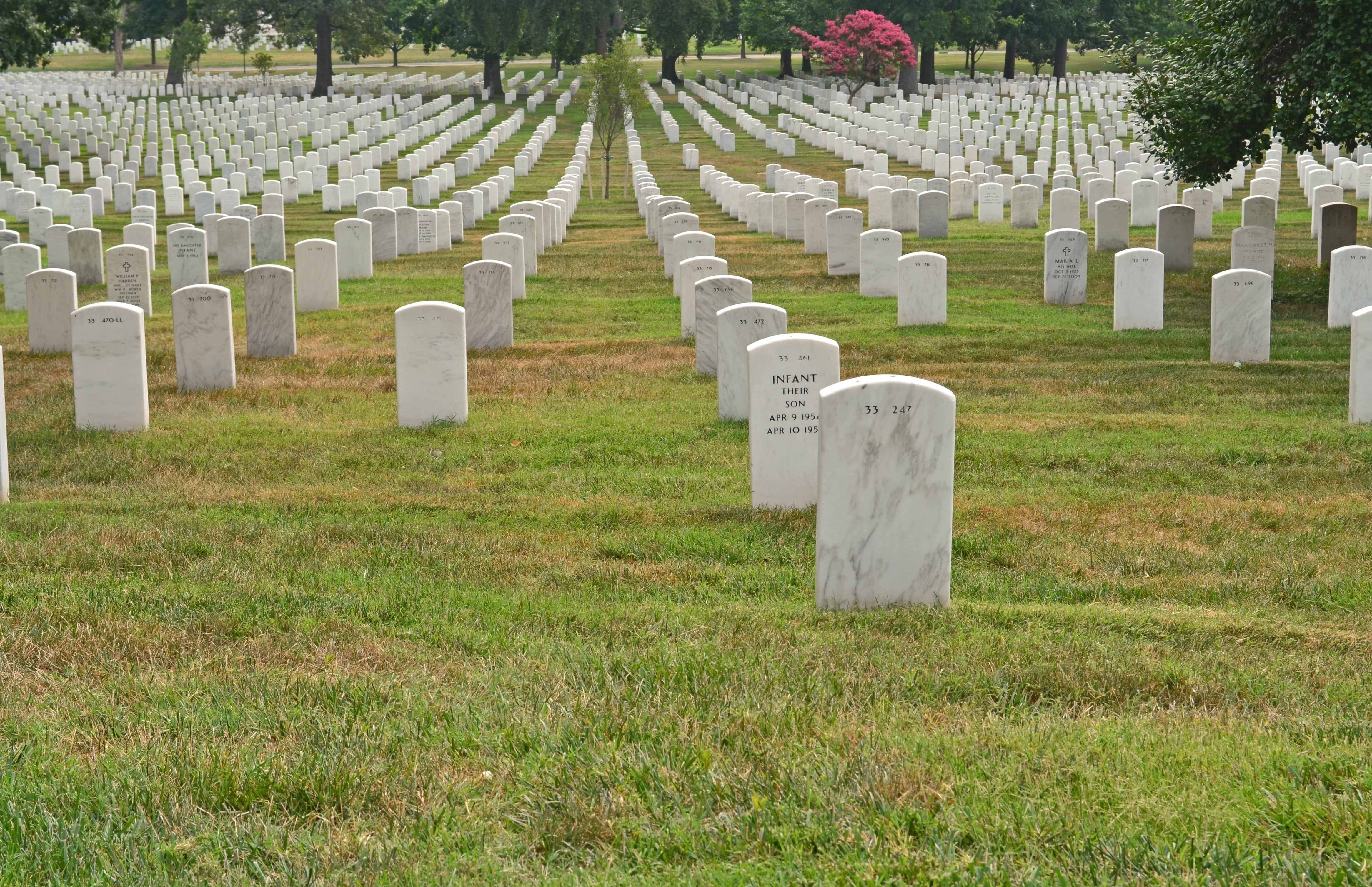 tombstones, large group of objects, no people, order, military cemetery, history, nature, daytime, grass, graves, tombstone, 4K, cemetery, stone, army soldier, HD Wallpaper