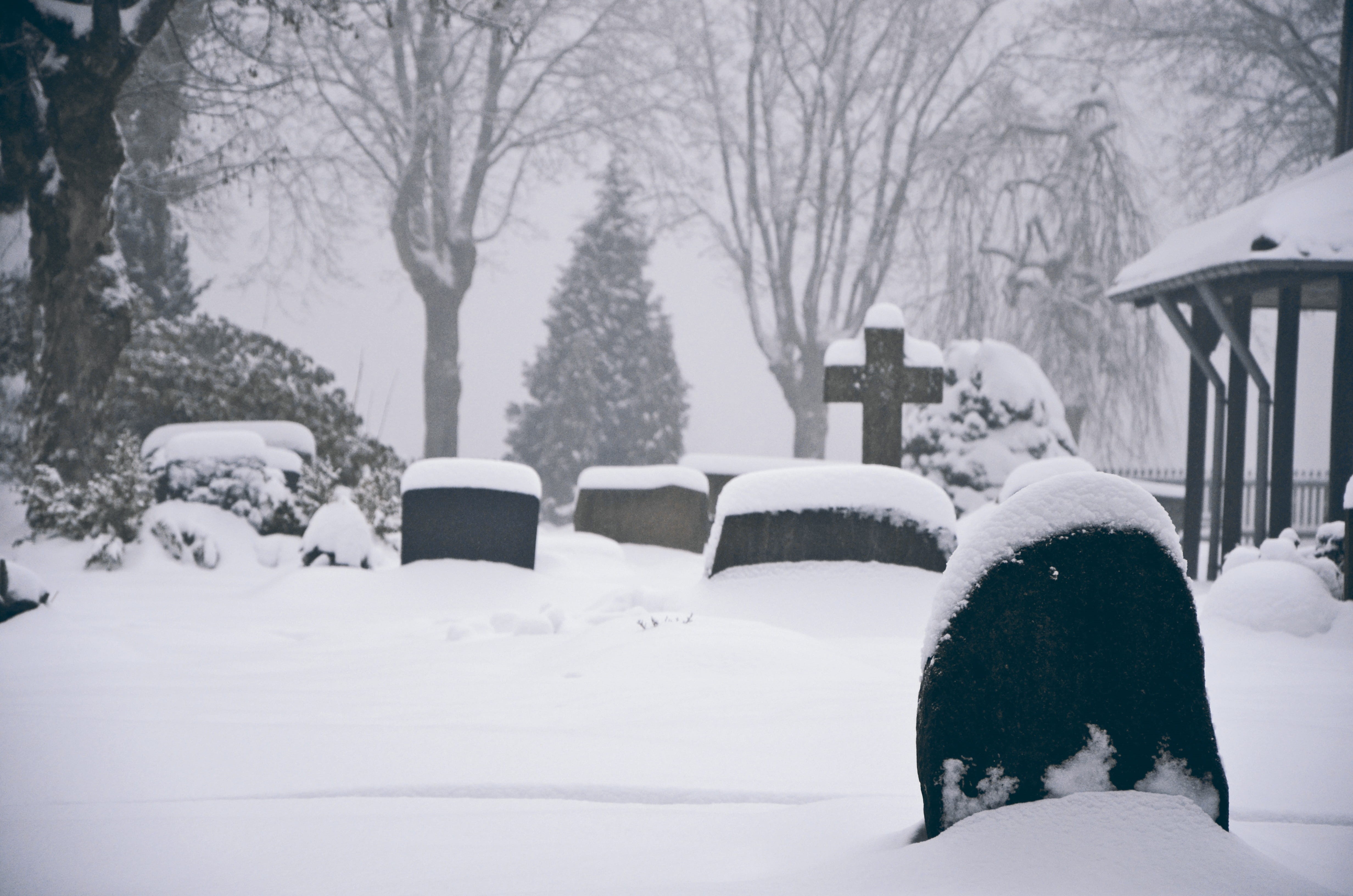 old cemetery, day, cold temperature, building exterior, plant, park, blizzard, Grave, tranquility, 4K, church, Graves, outdoors, extreme weather, tree, HD Wallpaper
