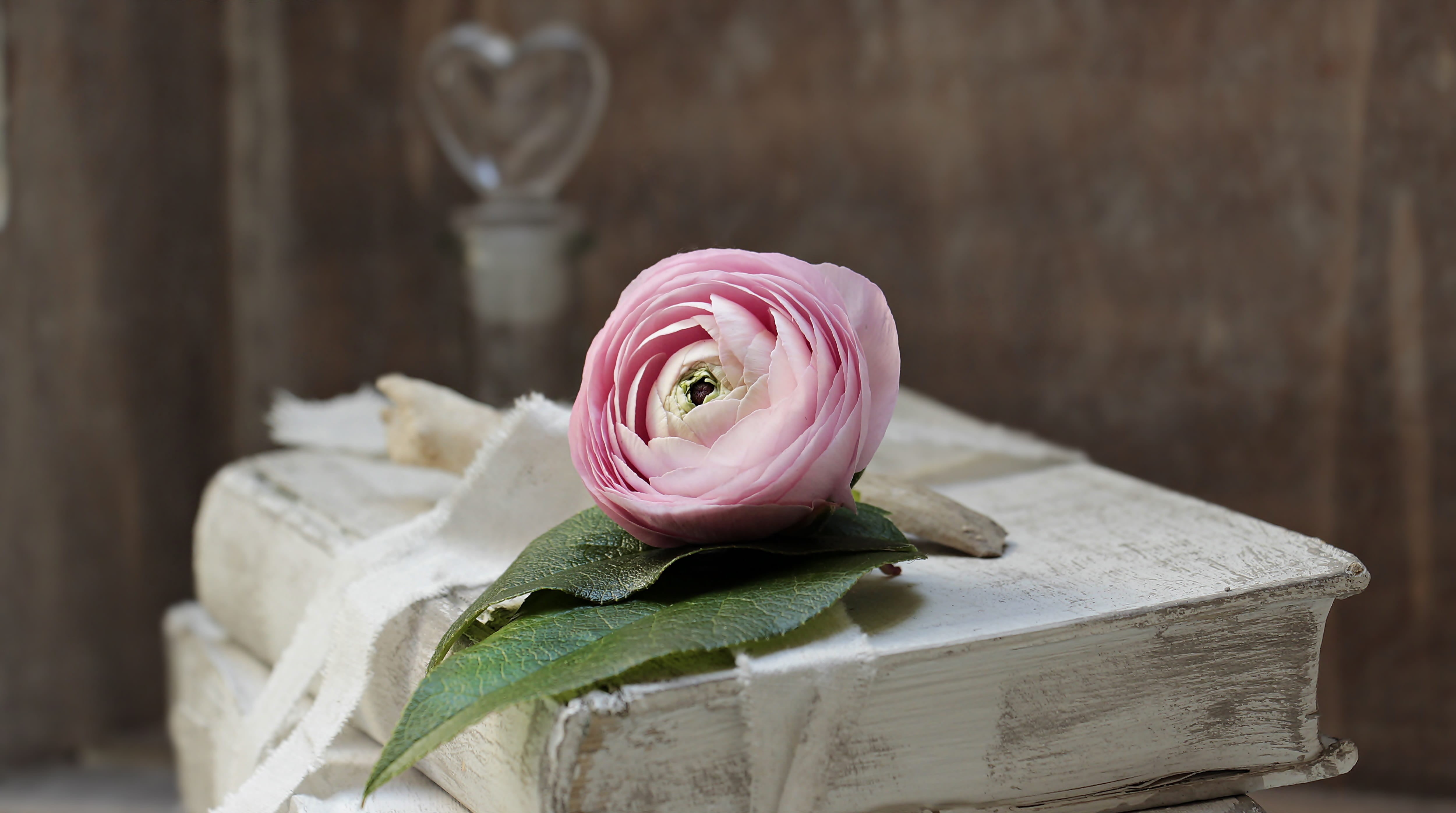 shabby, wood - material, day, wrapped up, collection, flacon, bound, pink color, satin, old, books, flower arrangement, box - container, band, lying, flower, HD Wallpaper