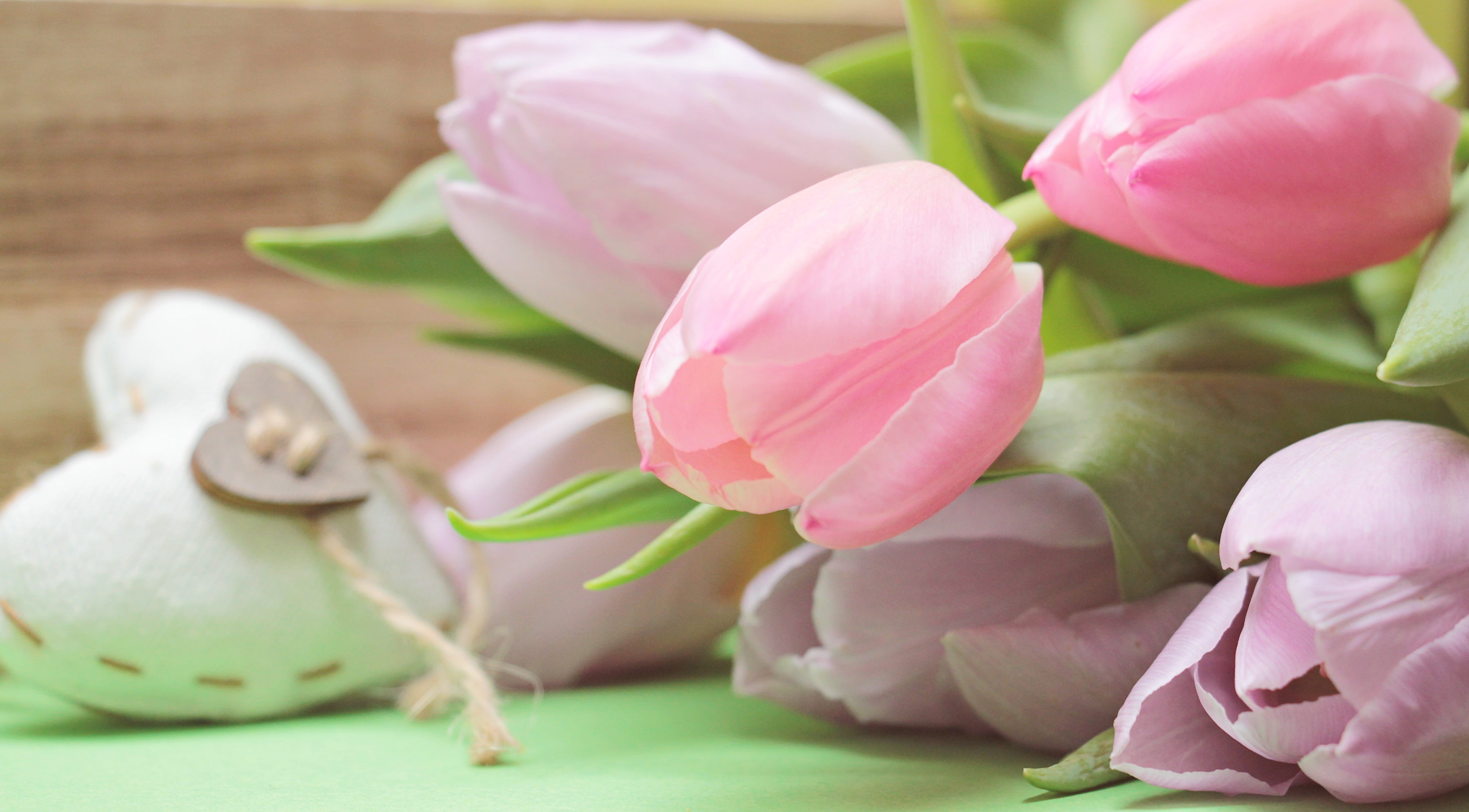 background image, inflorescence, floral greeting, bouquet, flower arrangement, photo, bloom, rose, tender, springtime, rose - flower, indoors, 4K, petal, HD Wallpaper