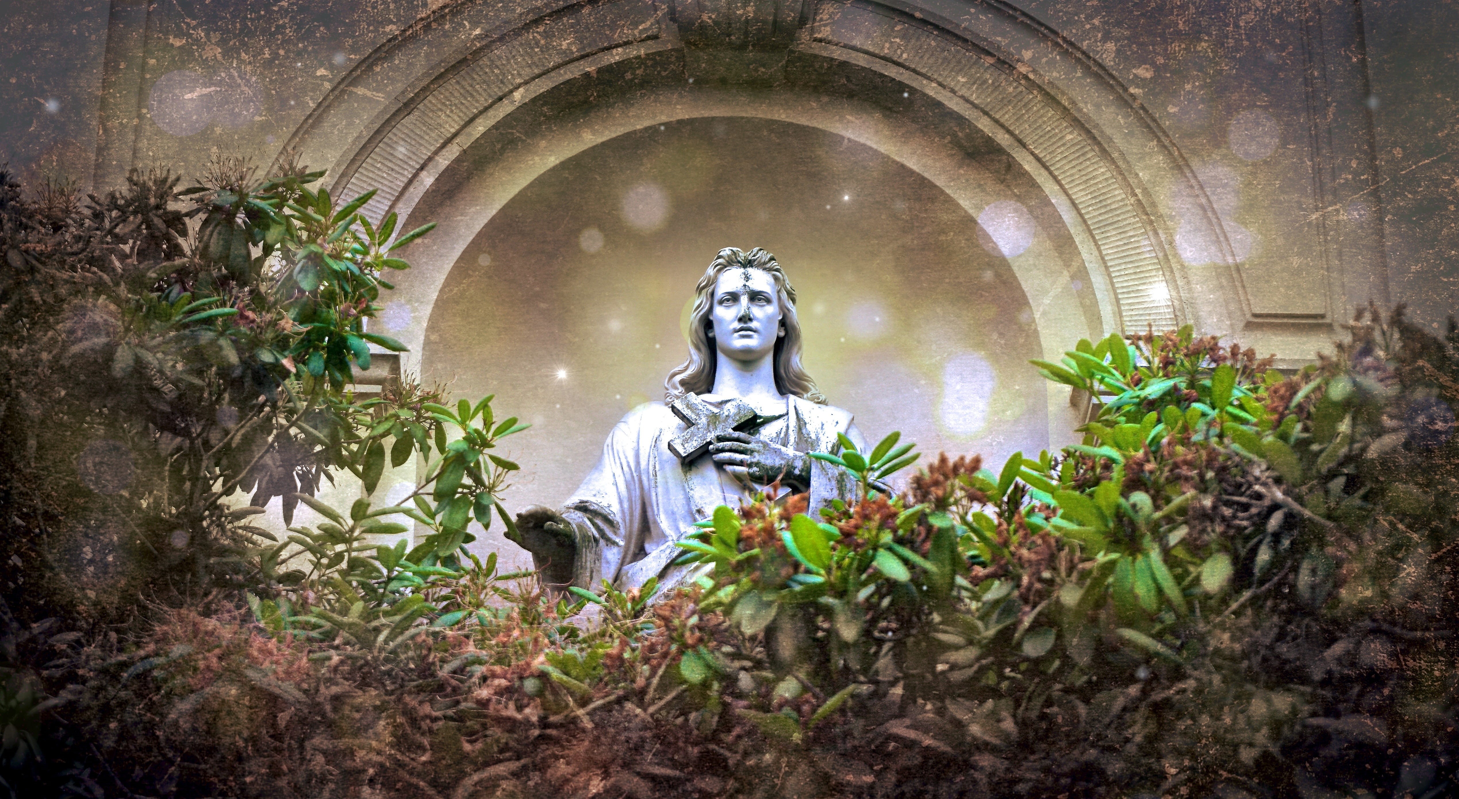 cemetery, peaceful, plant, commemorate, memorial, surrounded, no people, night, 4K, jesus, human representation, rest, green leaves, atmosphere, nature, HD Wallpaper