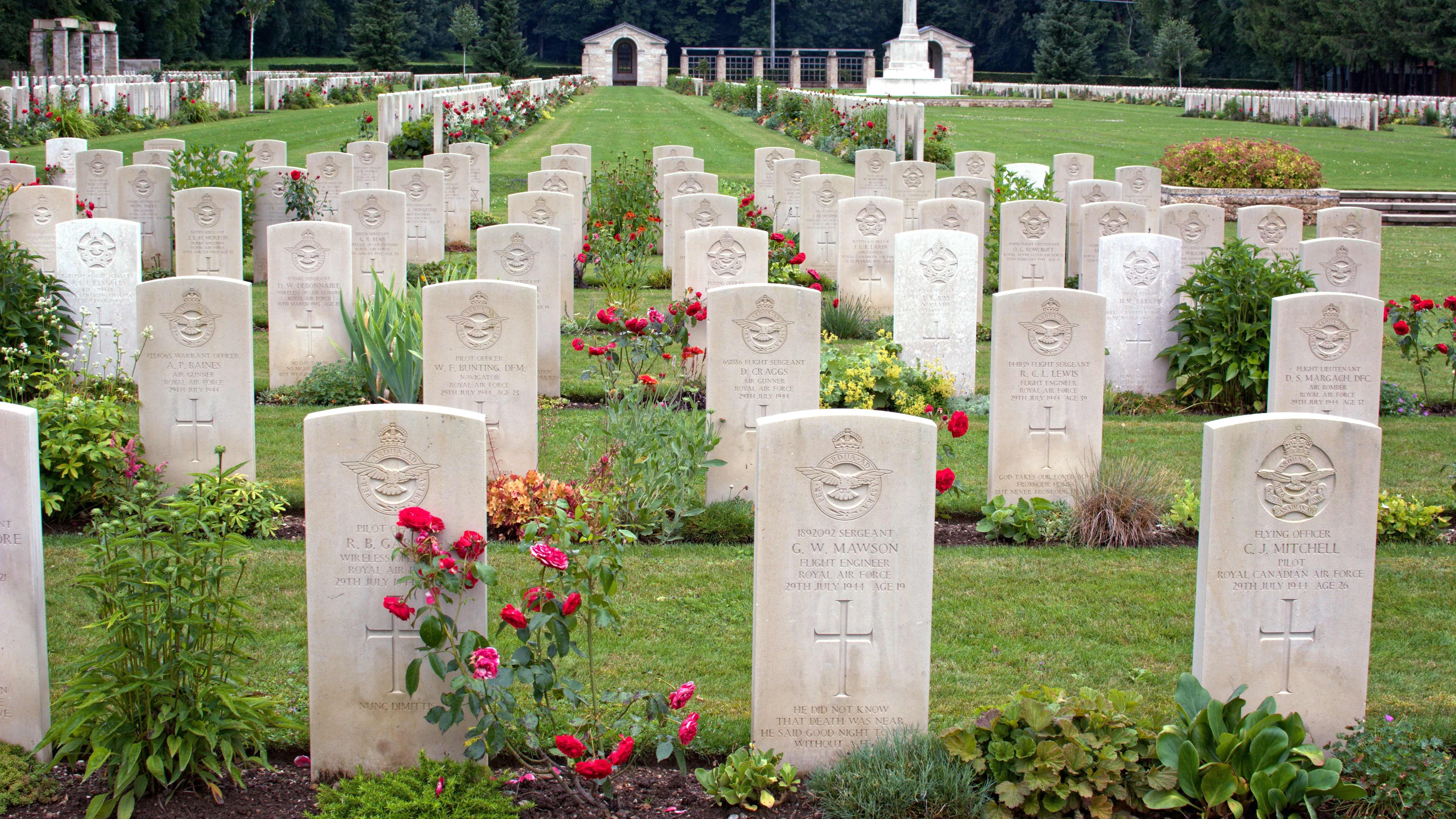 plant, memorial, memories, armed Forces, graves, peaceful, stone material, flowering plant, the past, grave, religion, outdoors, commemorate, honor, cemetery, HD Wallpaper