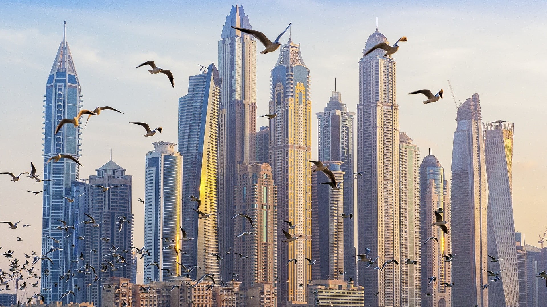 office, built structure, city, sky, landscape, urban skyline, downtown district, Dubai, cityscape, travel destinations, tall - high, no people, building exterior, HD Wallpaper