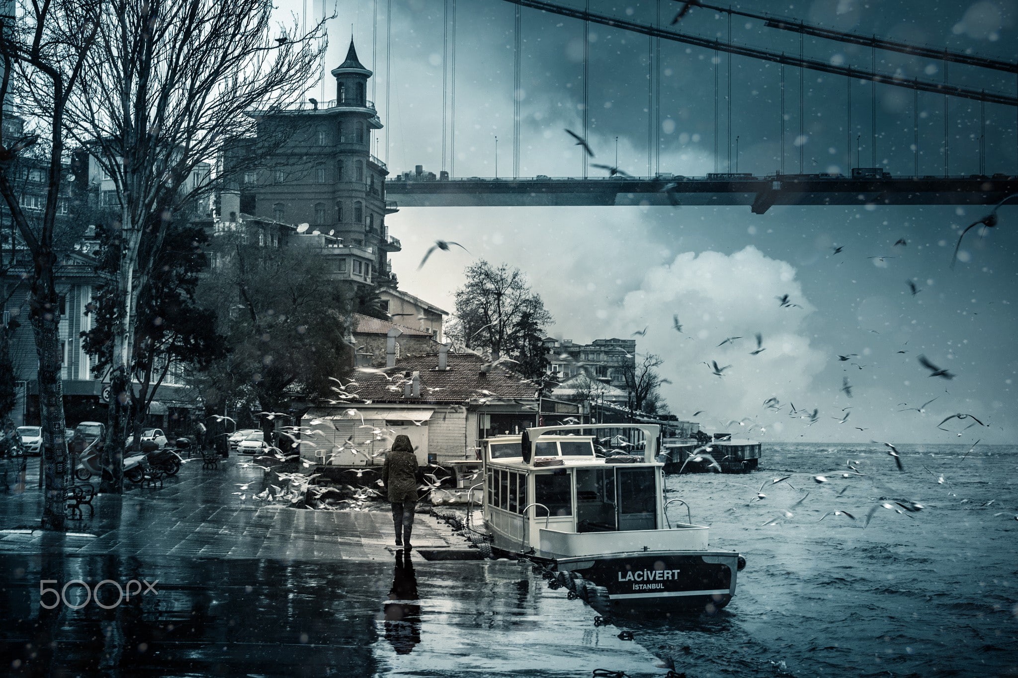 Turkey, Bosphorus, rain, boat, seagulls, 1080P, photography, birds, sea, Istanbul, bridge, HD Wallpaper