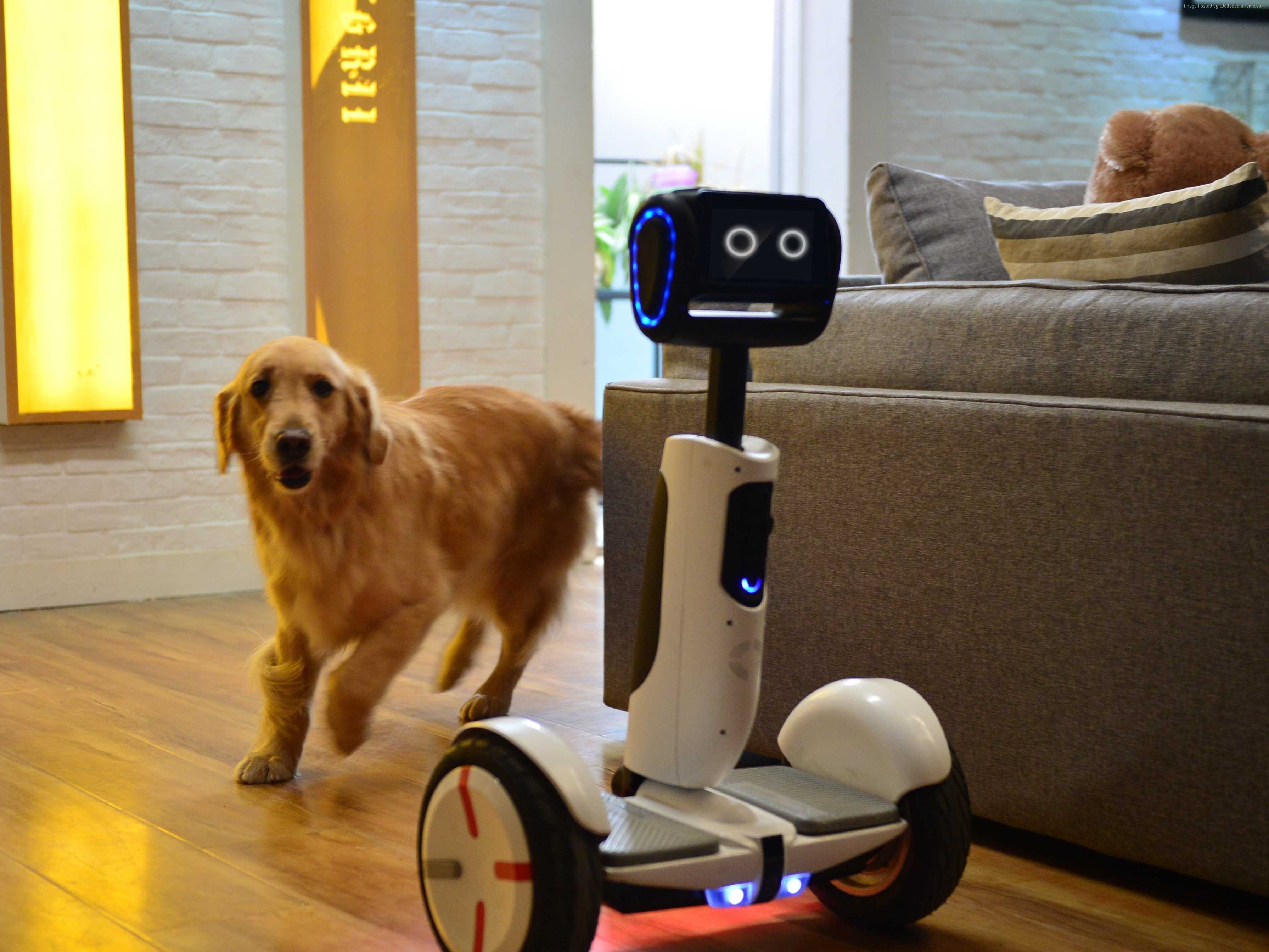 CES 2016, Hoverboard Butler, 2K, Intel, HD Wallpaper