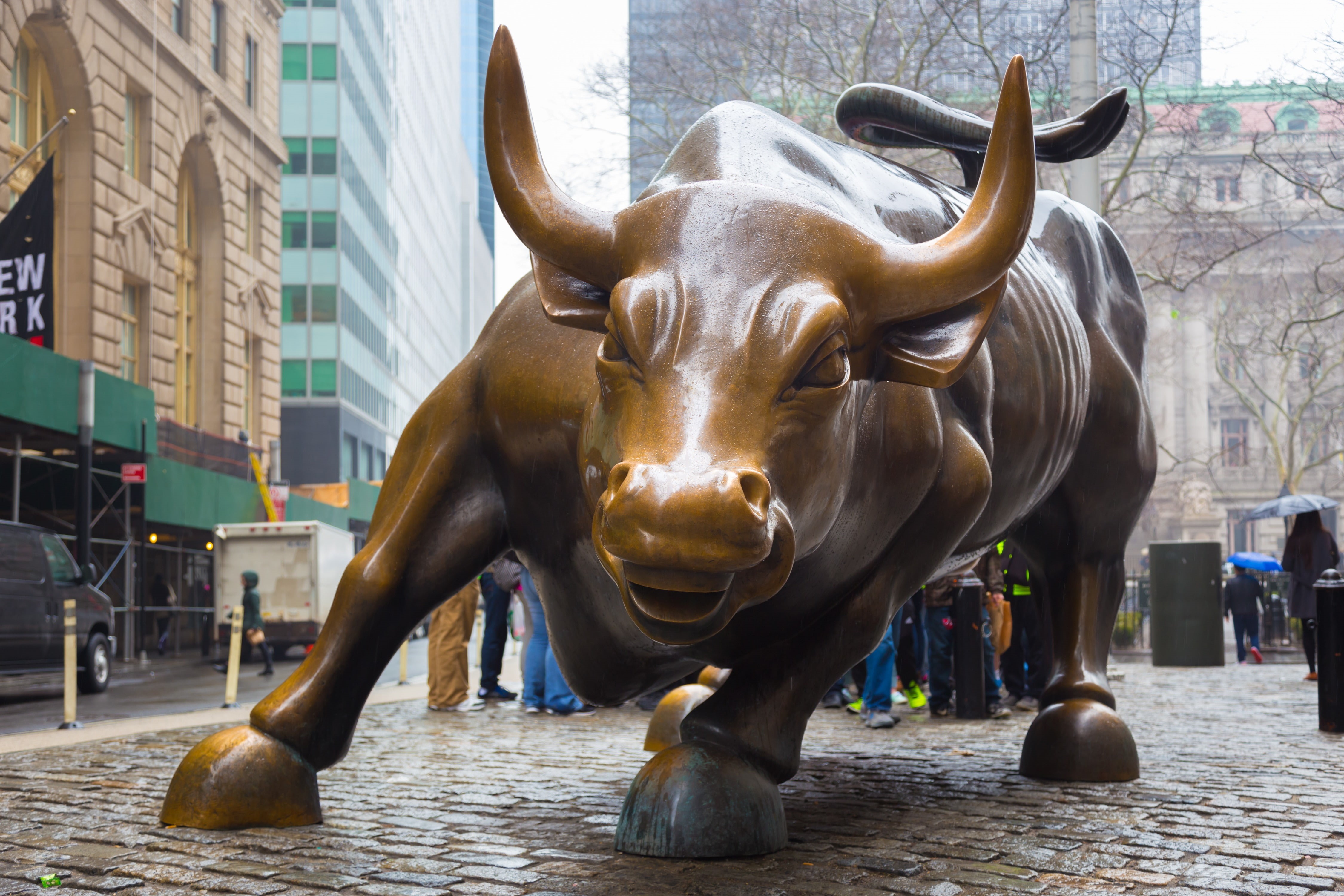 buffalo, 4K, Bowling Green Bull, Charging Bull, Manhattan, statue, 4K, Wall Street Bull, New York City, brown, HD Wallpaper