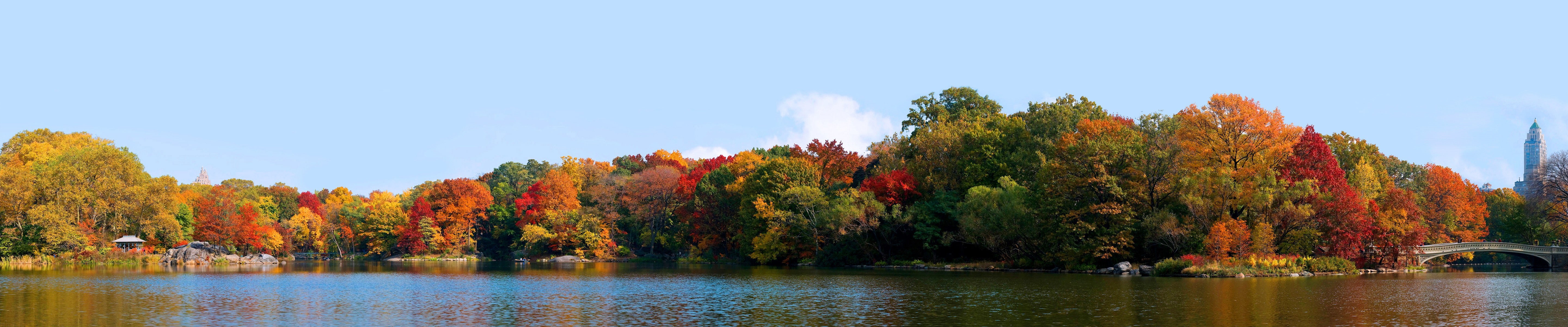tranquility, reflection, Central Park, outdoors, plant, tree, sky, multi colored, autumn, 5K, New York City, beauty in nature, scenics - nature, water, HD Wallpaper