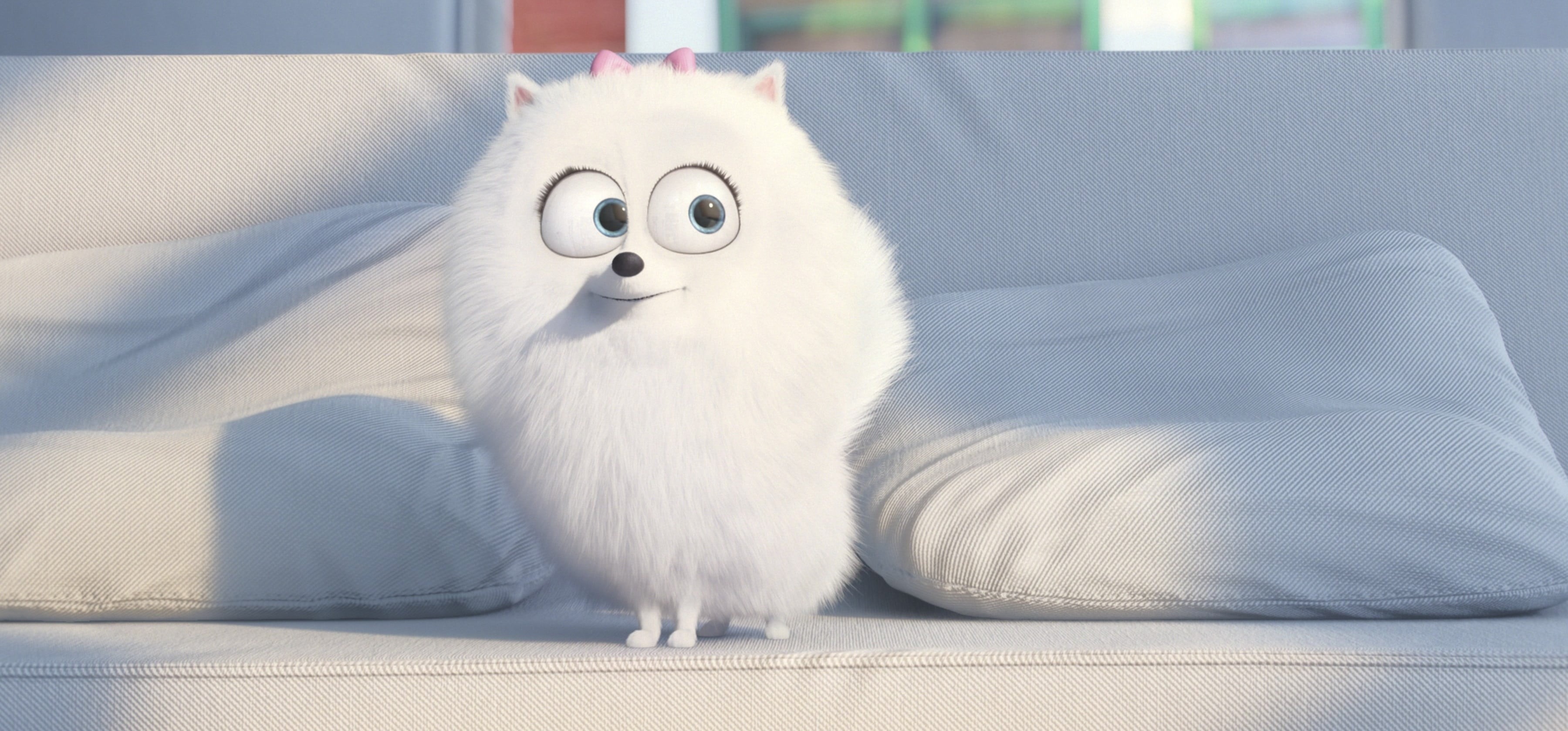 comfortable, fluffy, living room, feline, dog, Gigi, graphic animation, white color, indoors, cartoon, fur, cute, furniture, The Secret Life of Pets, domestic Animals, HD Wallpaper