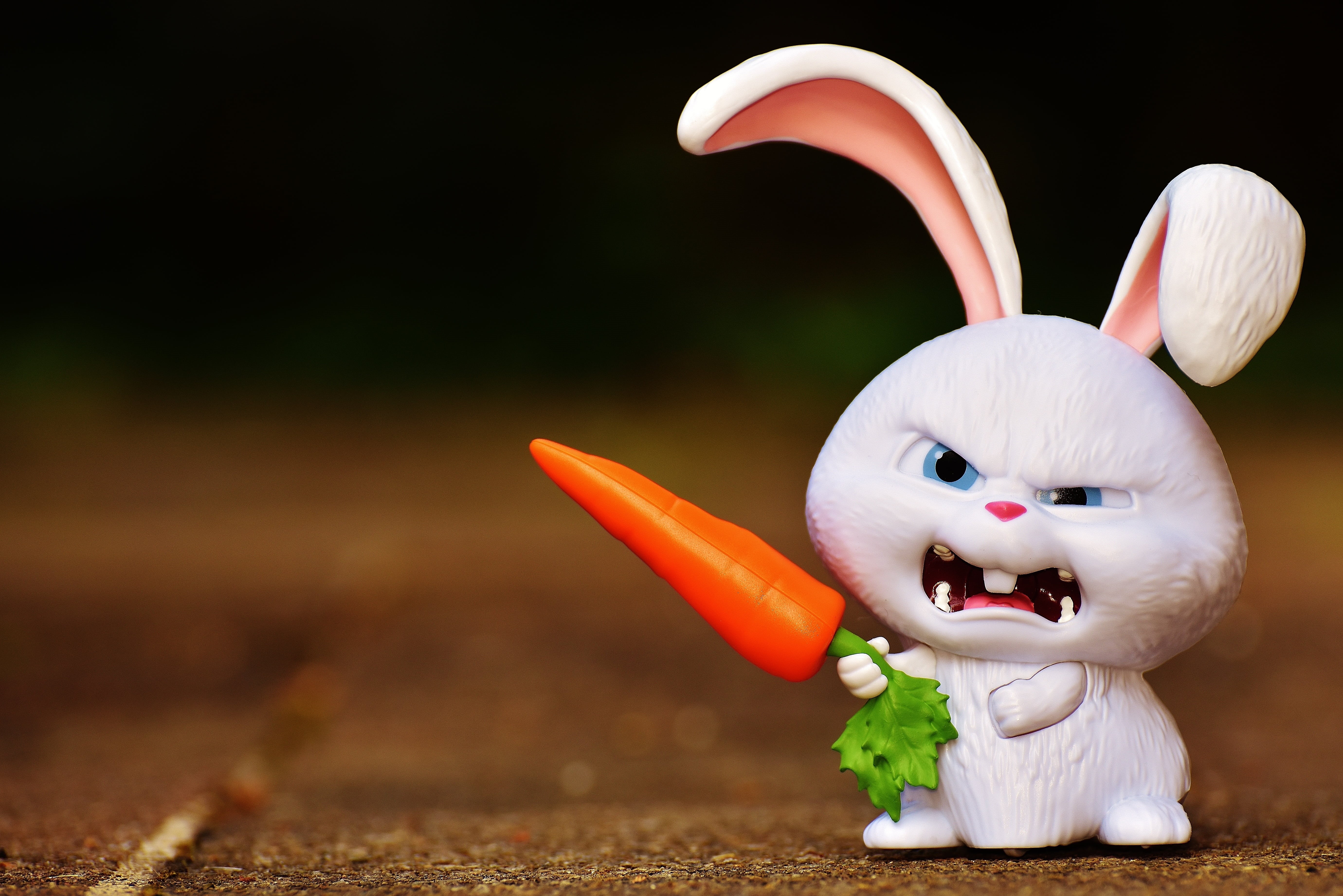 vegetable, single object, no people, snowball, close-up, children, 5K, film character, representation, cute, toy, easter bunny, art and craft, rabbit, HD Wallpaper