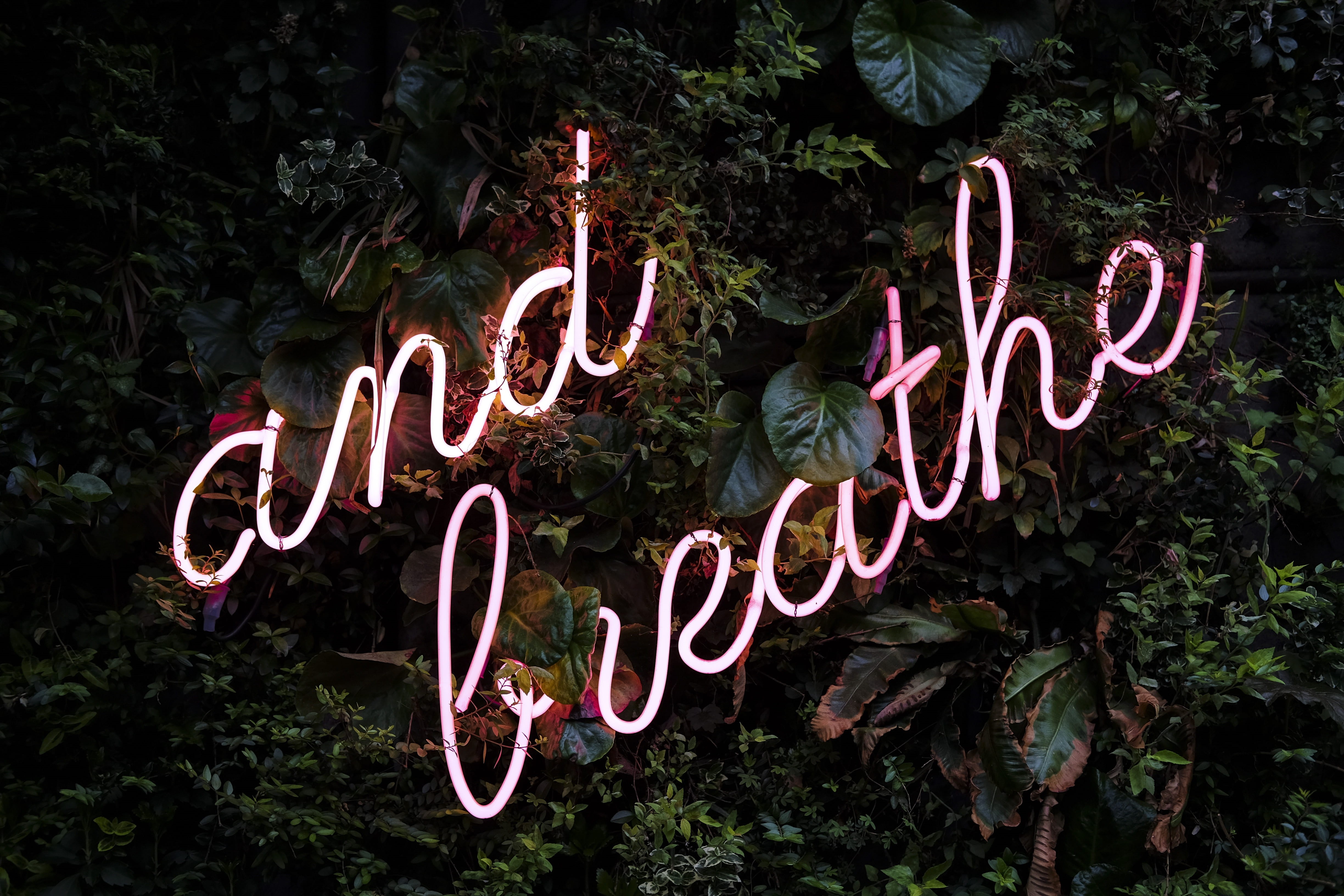 green color, leafed, beauty in nature, communication, neon, red, nature, greenery, positive emotion, heart shape, outdoors, love, pink, signage, emotion, HD Wallpaper
