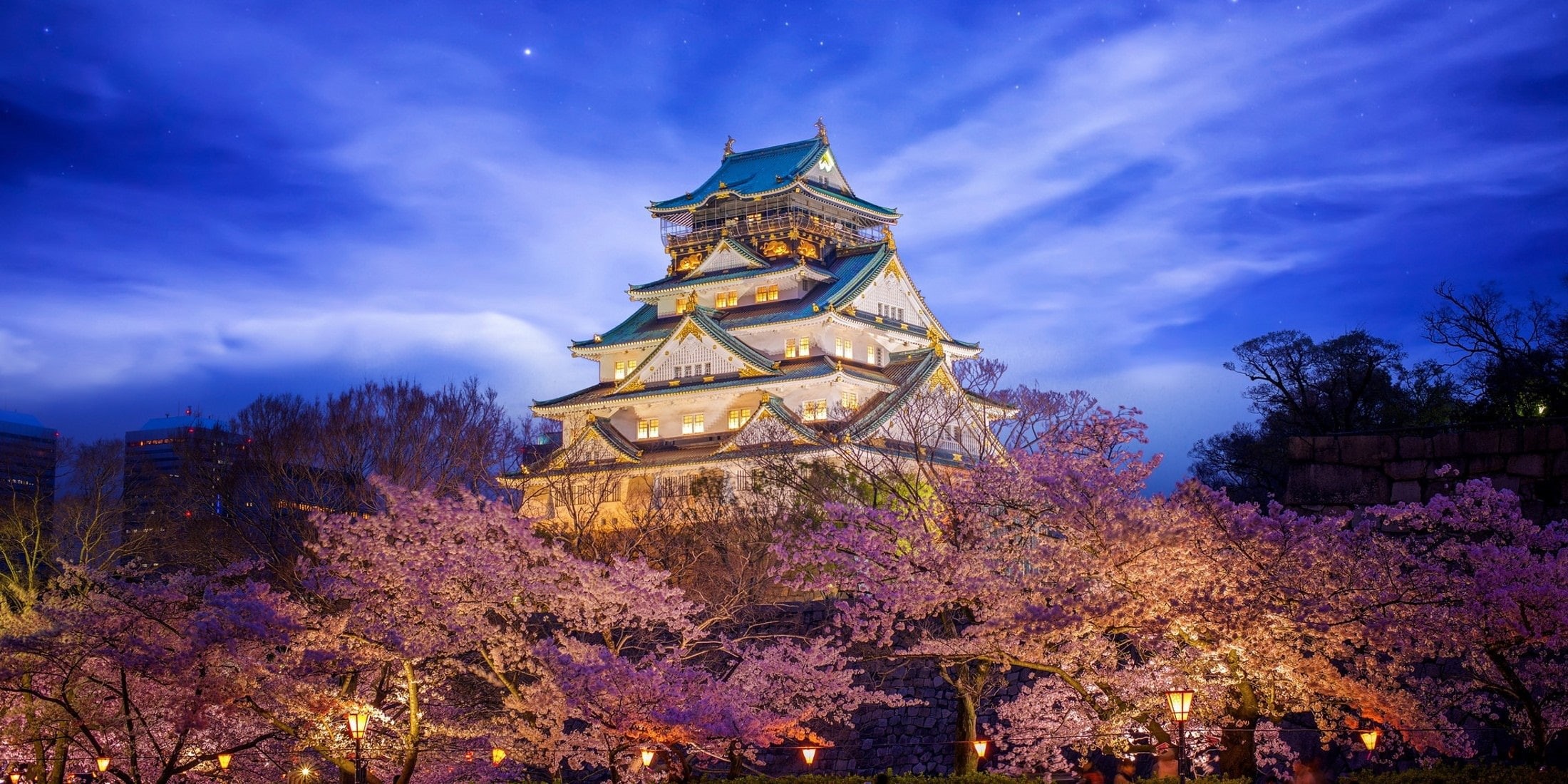 castle, lighting, 1080P, beauty, Japan, Himeji Castle in Osaka, HD Wallpaper