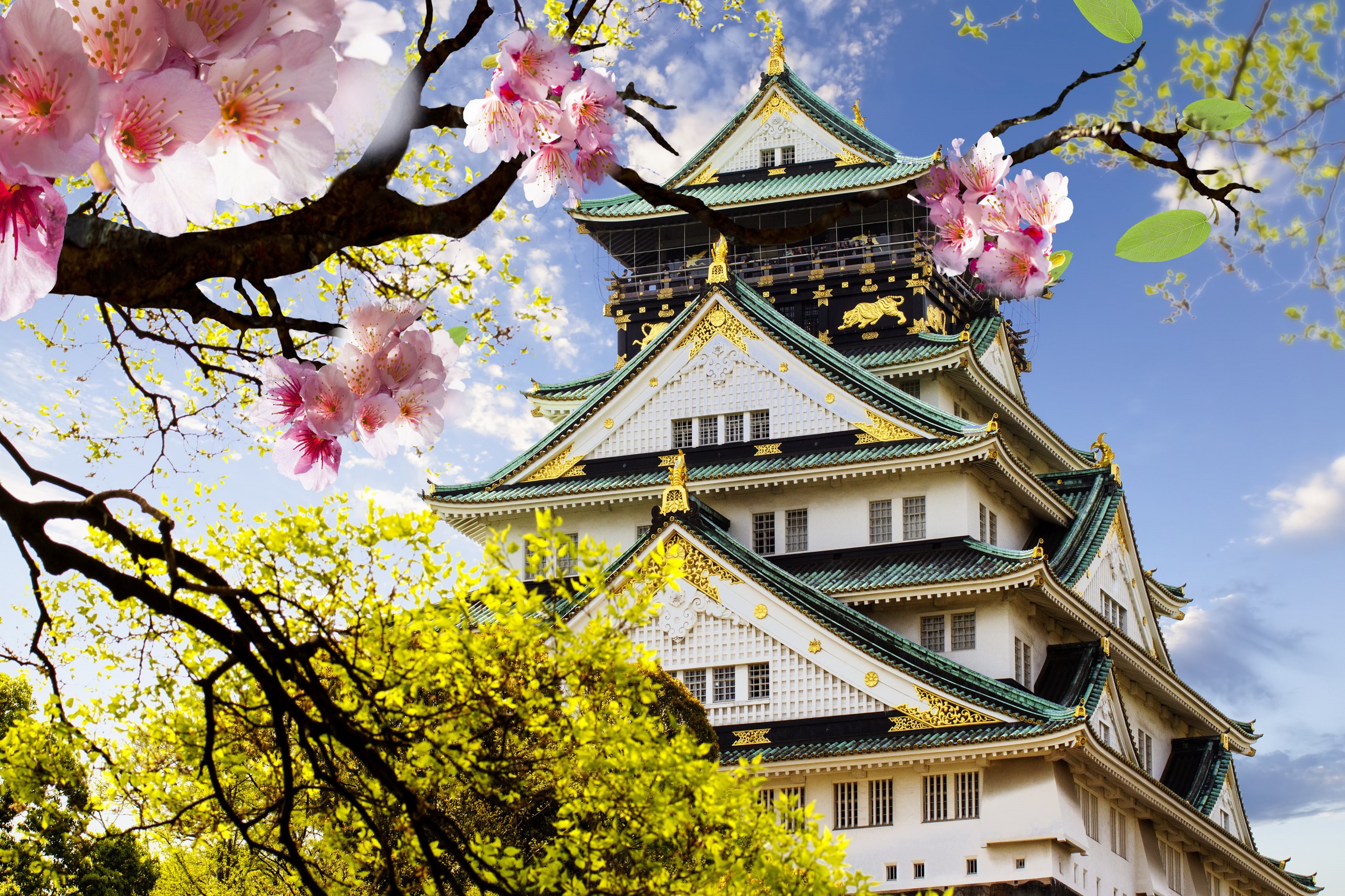 building exterior, branch, fragility, Japan, Osaka Castle, growth, outdoors, day, building, low angle view, plant, nature, cherry tree, tree, 2K, built structure, HD Wallpaper