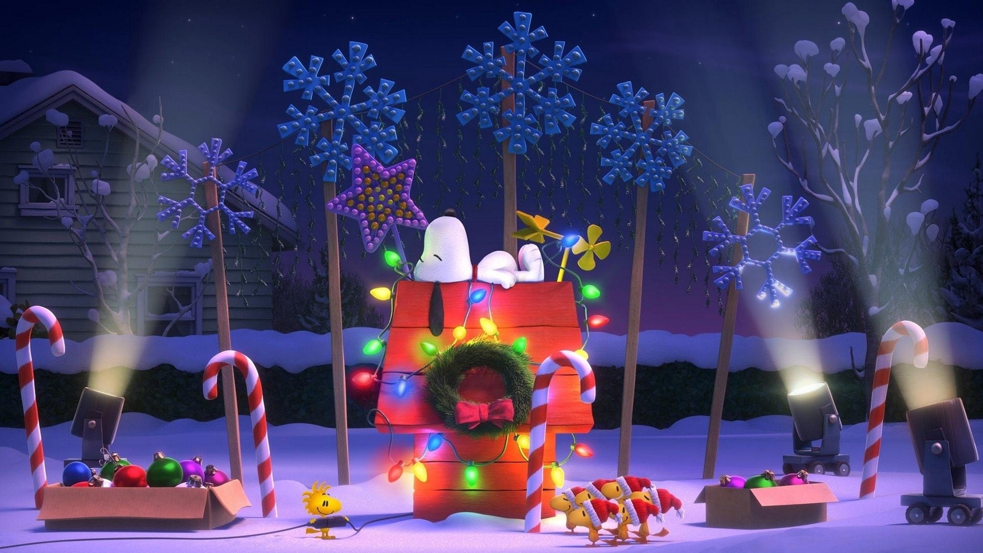 plant, offspring, nature, winter, decoration, boys, lighting equipment, holiday, Movie, night, innocence, christmas ornament, sitting, tree, 1080P, illuminated, HD Wallpaper