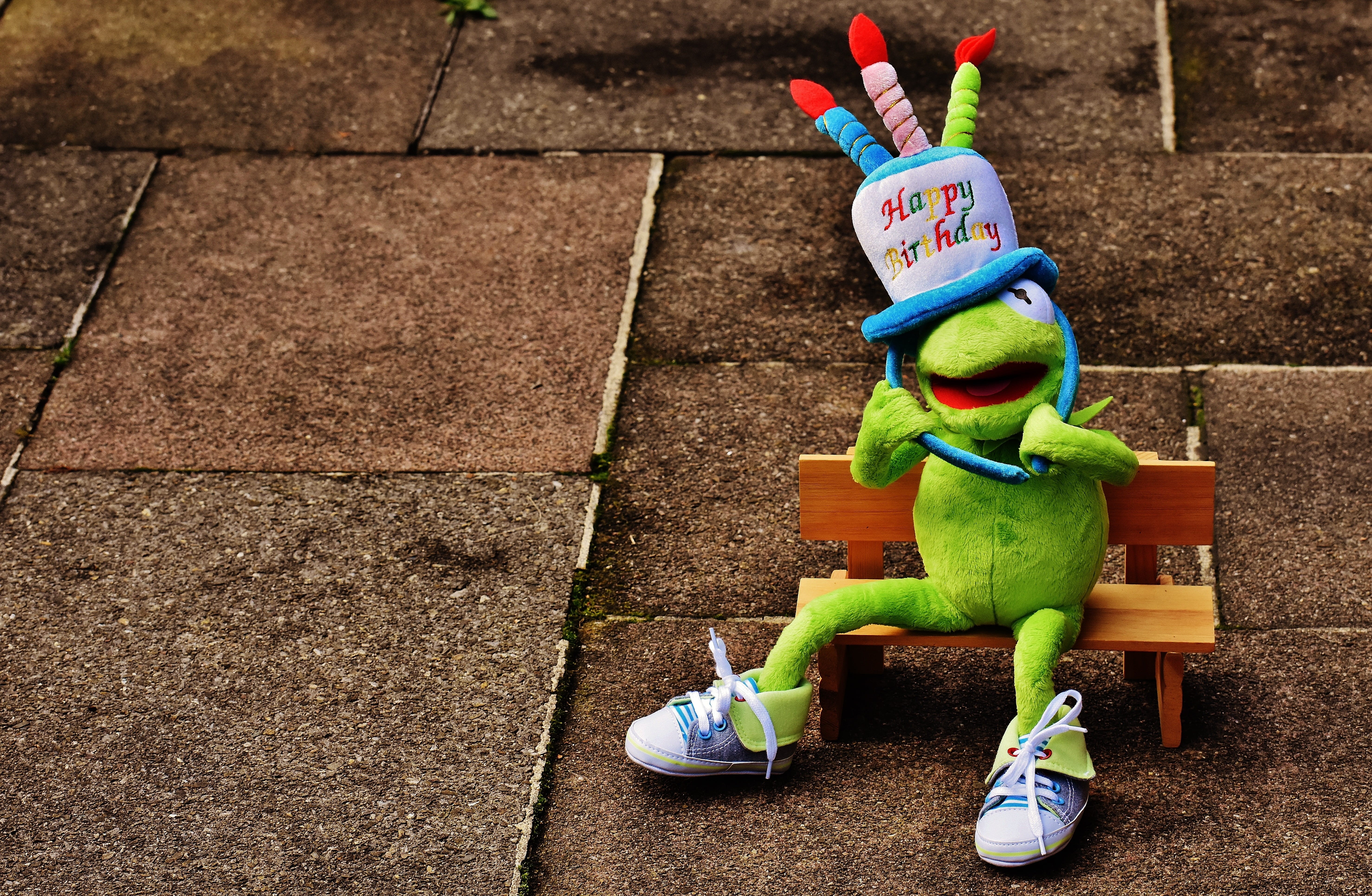 brown, representation, joy, high angle view, birthday, happy birthday, stone, fun, human representation, greeting, childhood, container, greeting card, HD Wallpaper