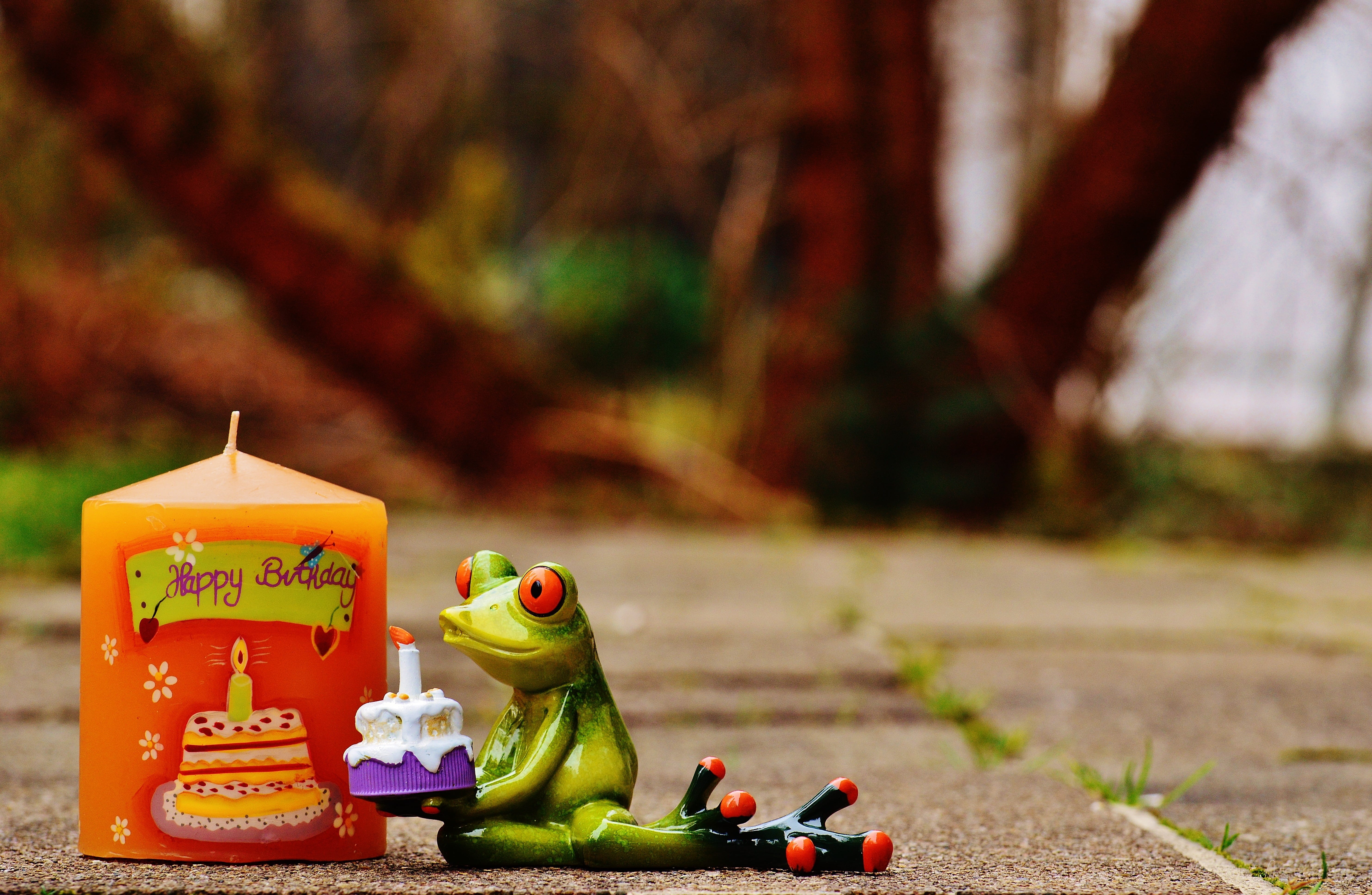 cake, celebration, toy, birthday candles, Greeting, surface, Frog, concrete, craft, sitting, selective focus, 5K, holding, day, nature, no people, religion, HD Wallpaper
