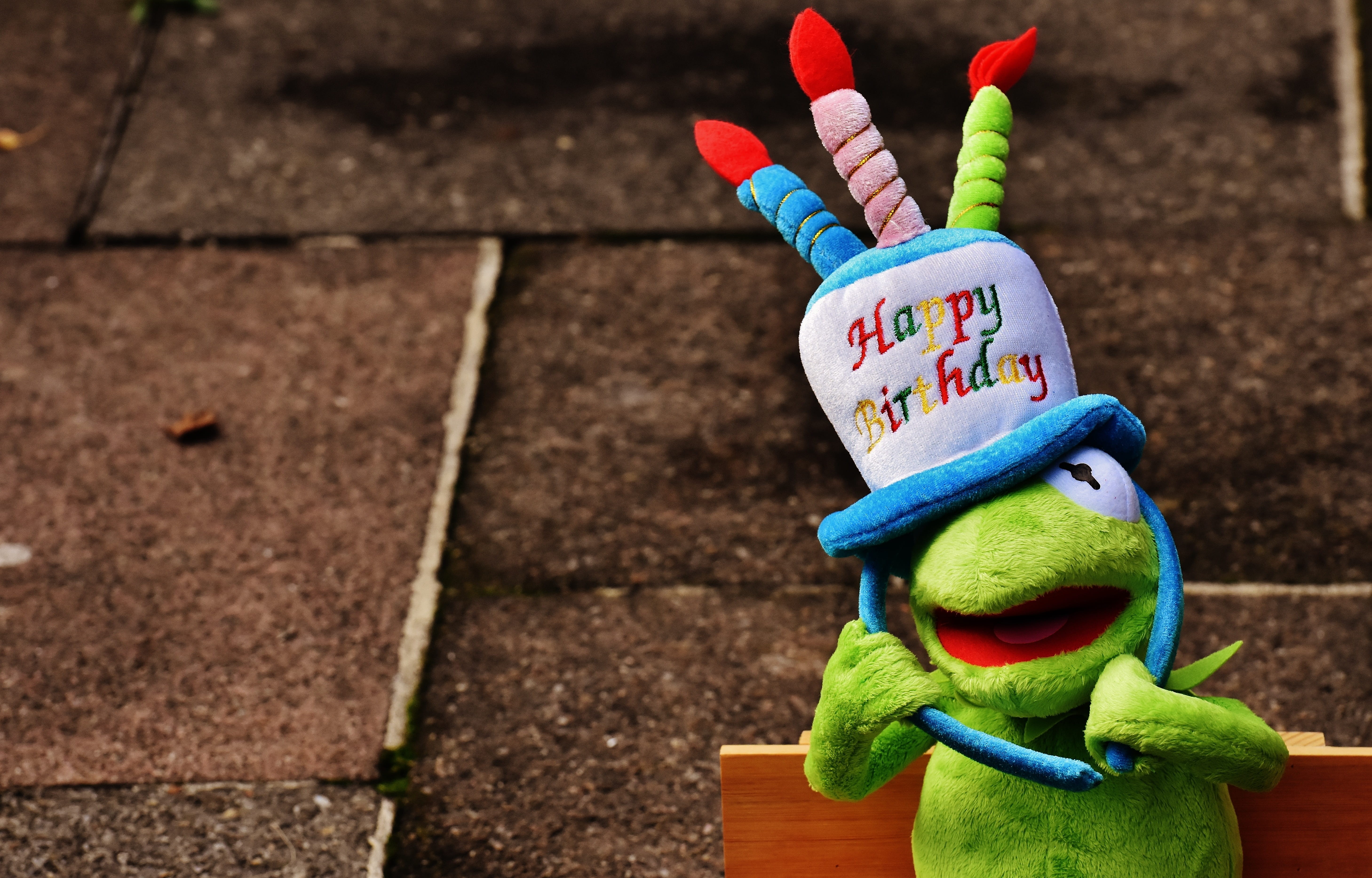 Frog, still life, Congratulations, luck, greeting card, childhood, wish congratulations, birthday card, art and craft, human representation, happy, multi colored, HD Wallpaper